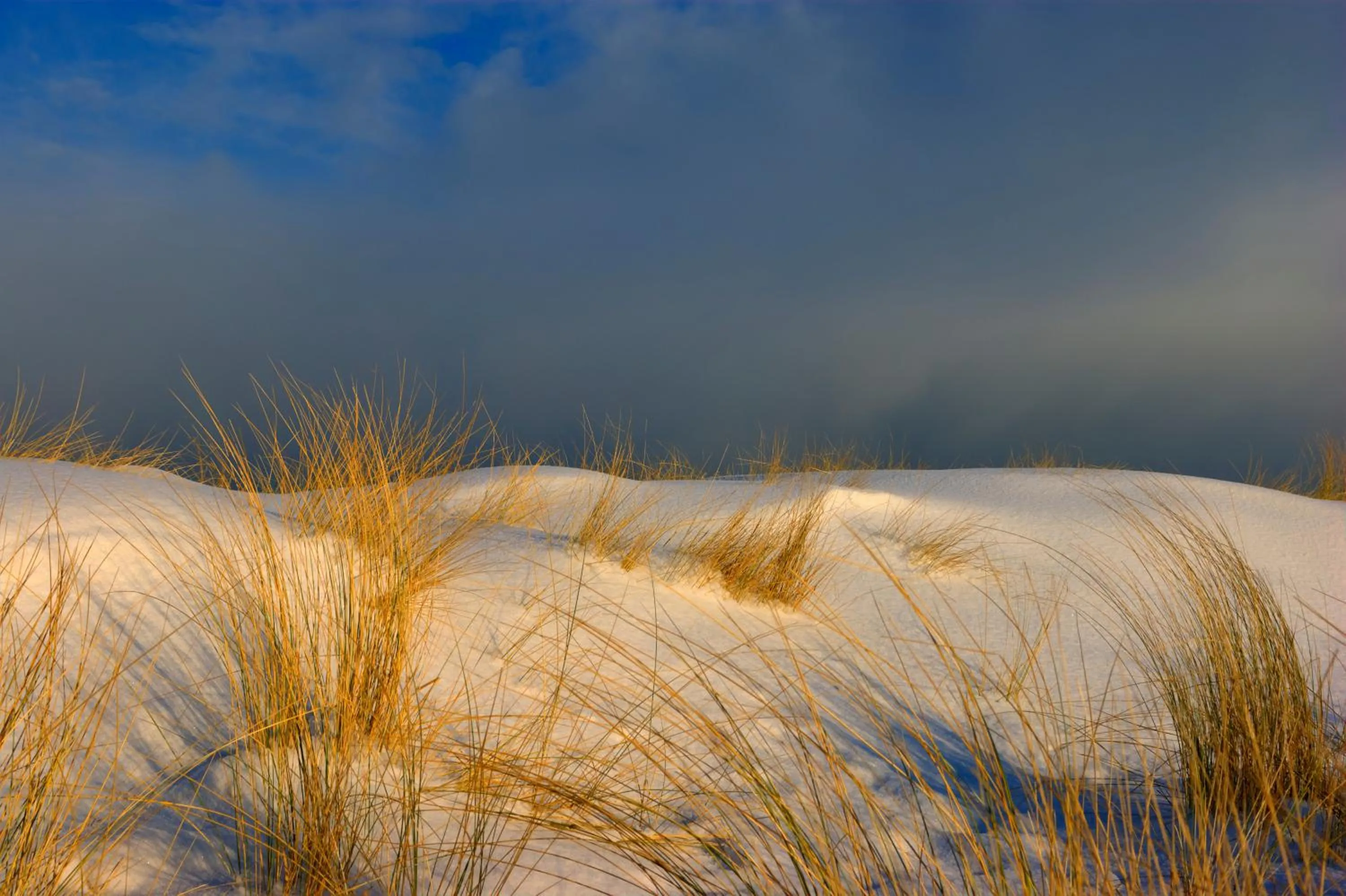 Beach in KurparkHotel Warnemünde