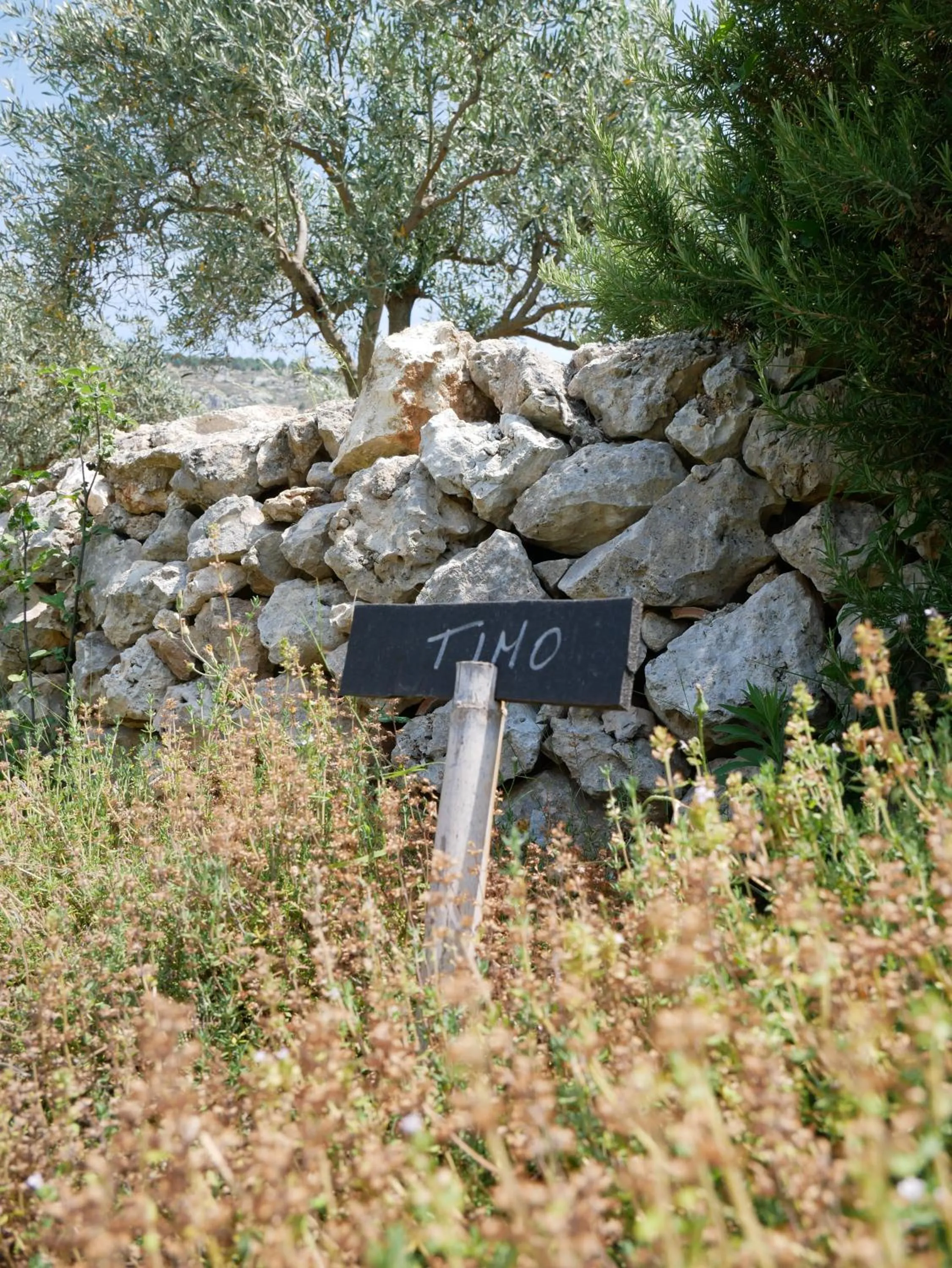 Garden in Pantalica Ranch Agriturismo Siciliano