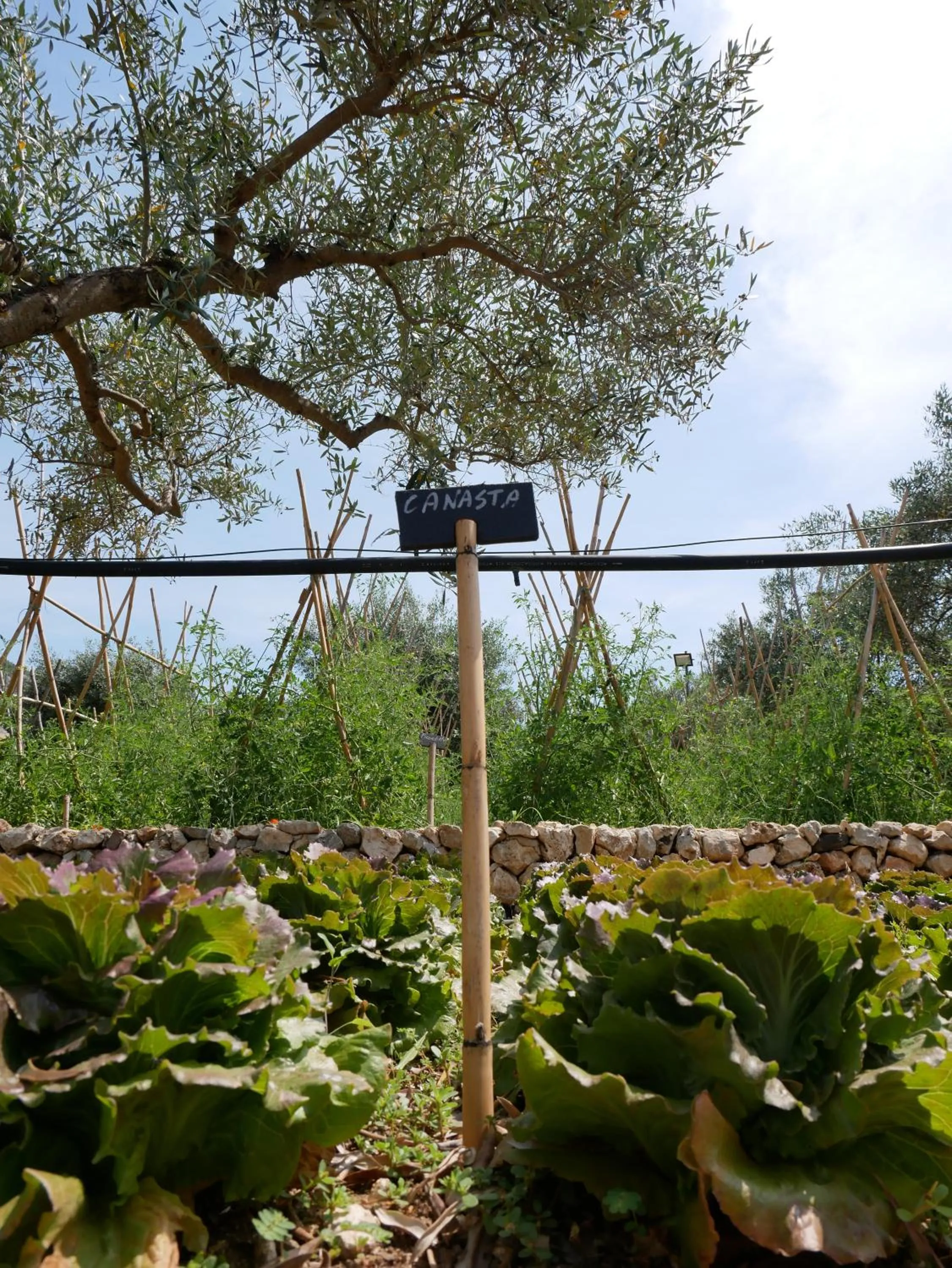 Garden in Pantalica Ranch Agriturismo Siciliano