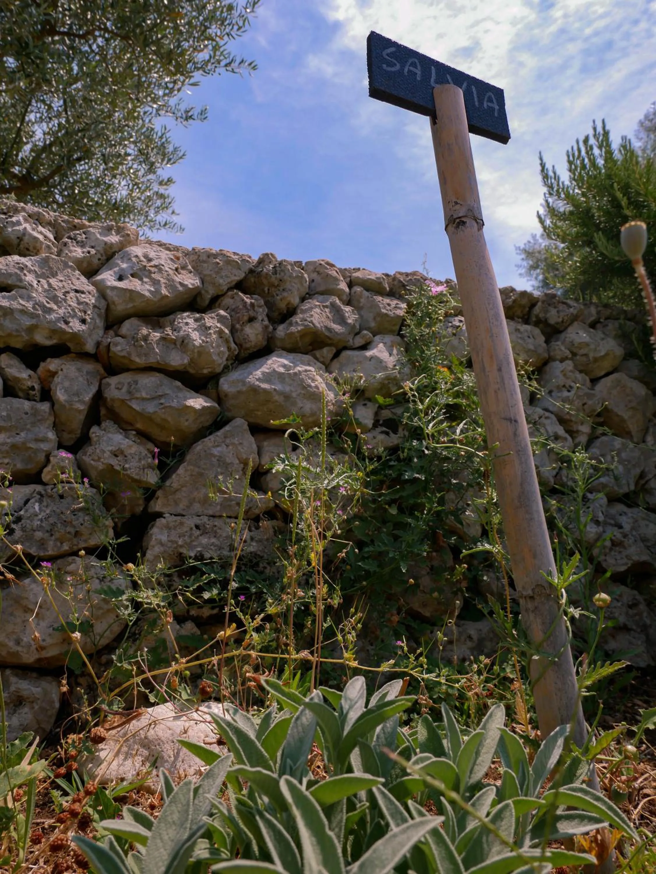 Garden in Pantalica Ranch Agriturismo Siciliano