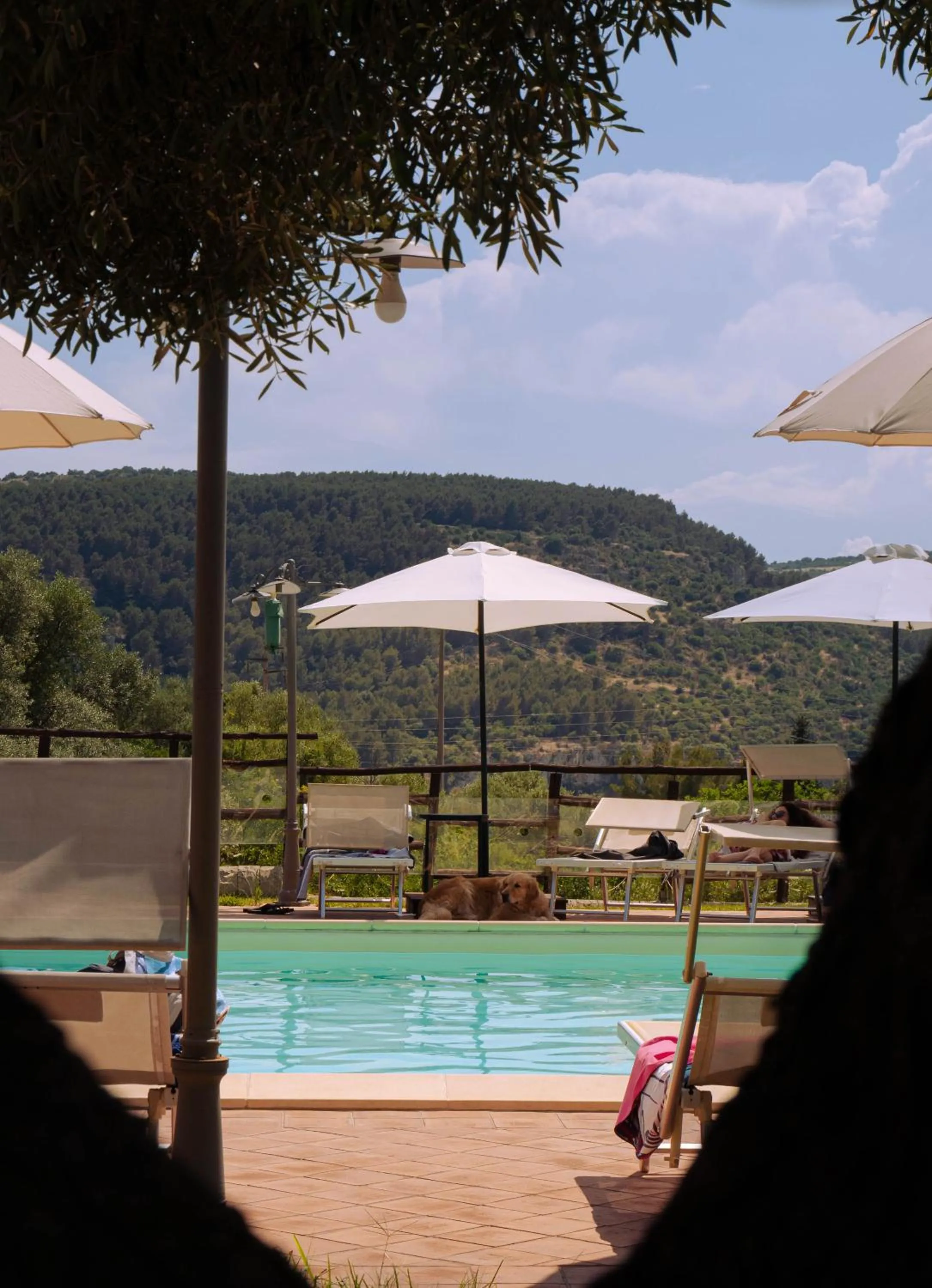 Swimming pool in Pantalica Ranch Agriturismo Siciliano