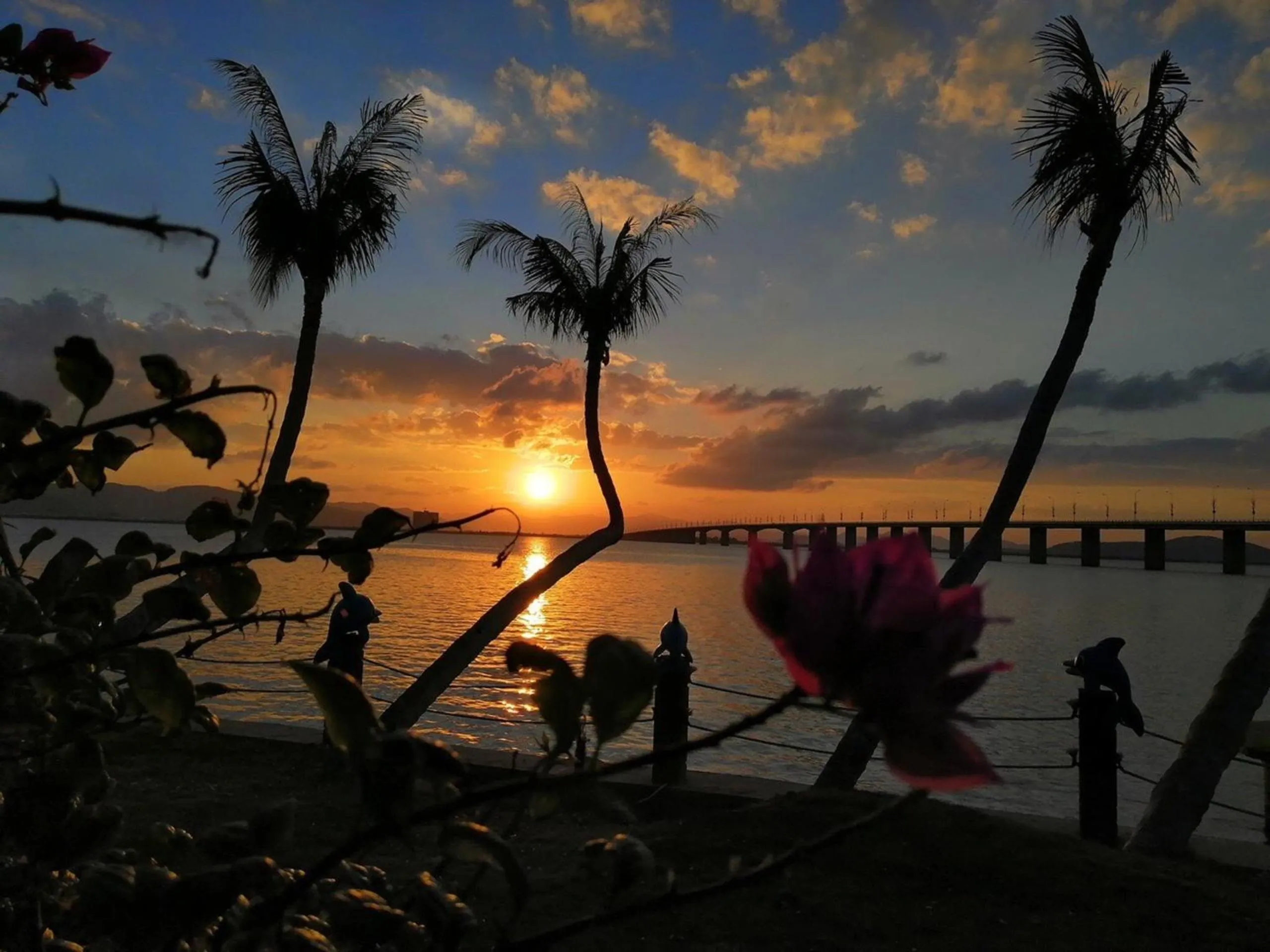 Seagate Bungalow Quy Nhon