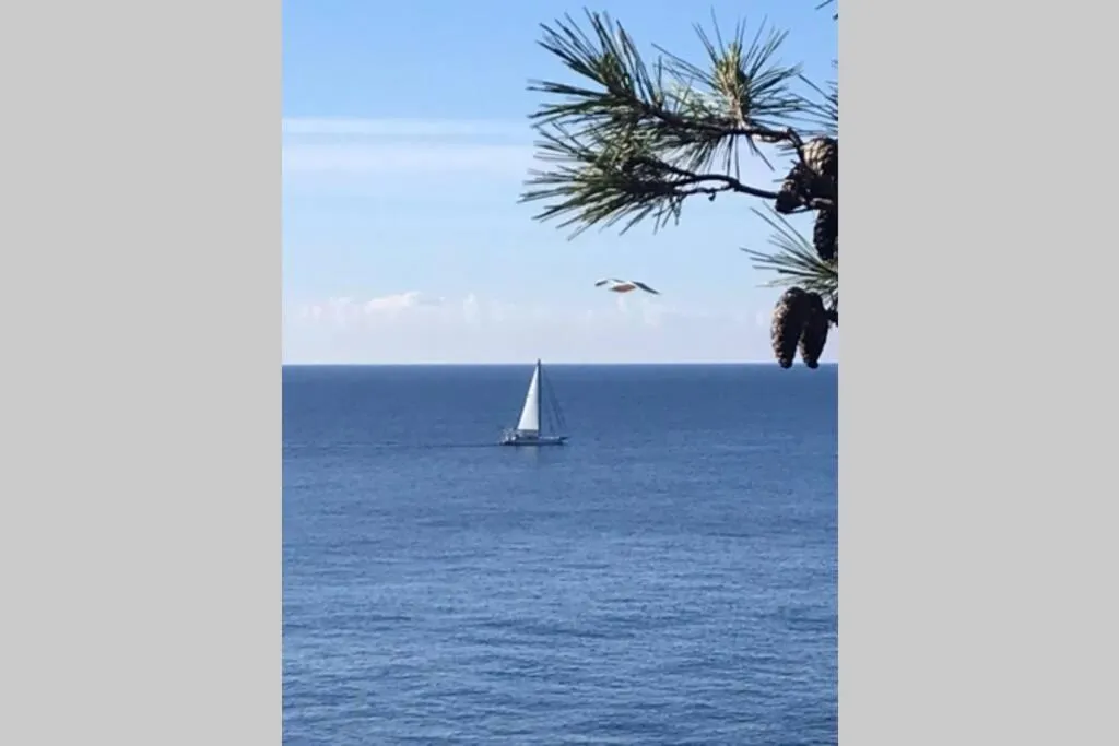 Natural landscape in Nuevo Luminoso Apartamento Catalina a 80 metros de la playa para 4 personas