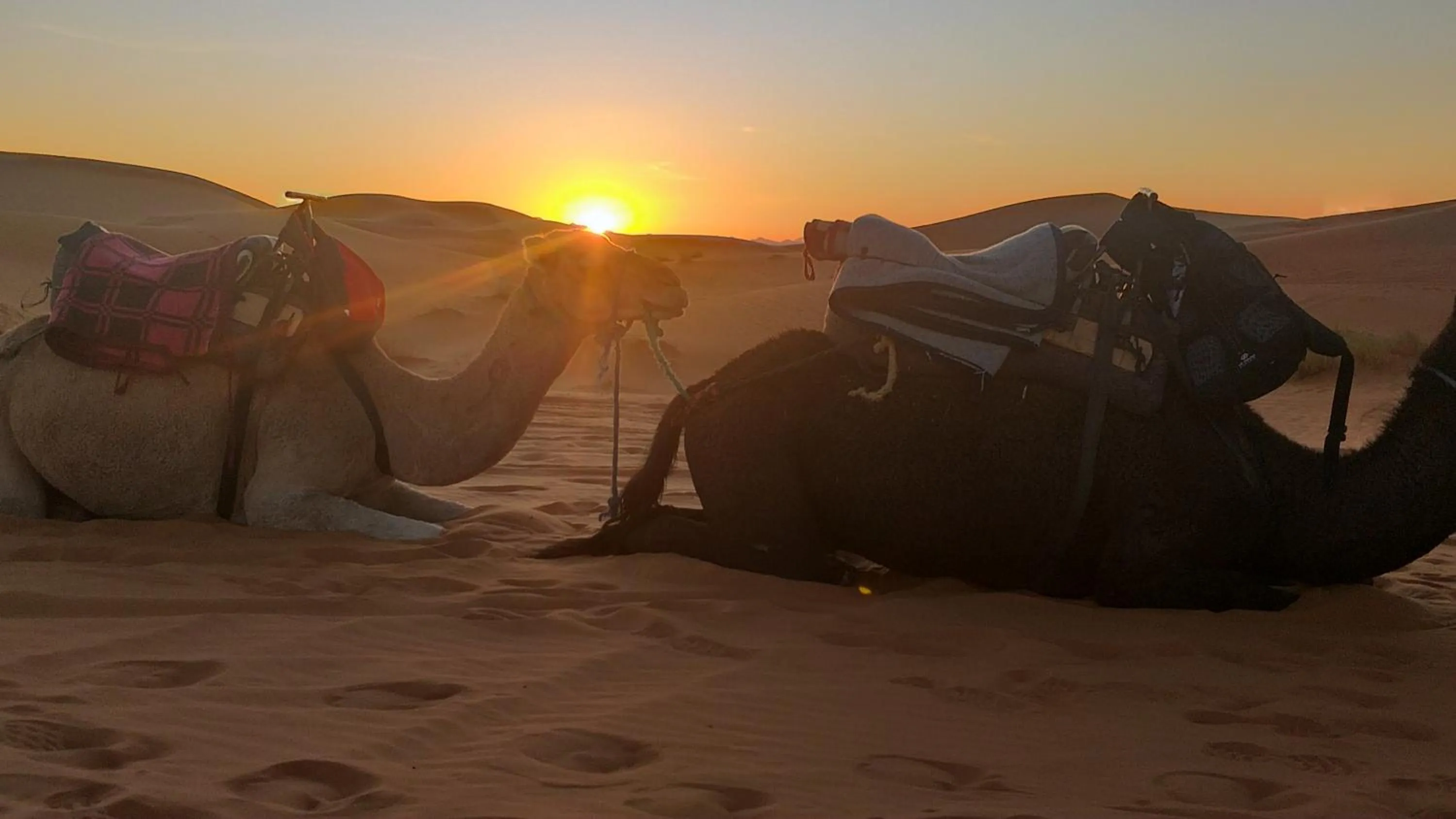 Merzouga Quiet apart &camels trecking