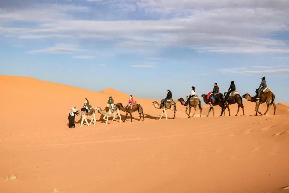 Merzouga Quiet apart &camels trecking