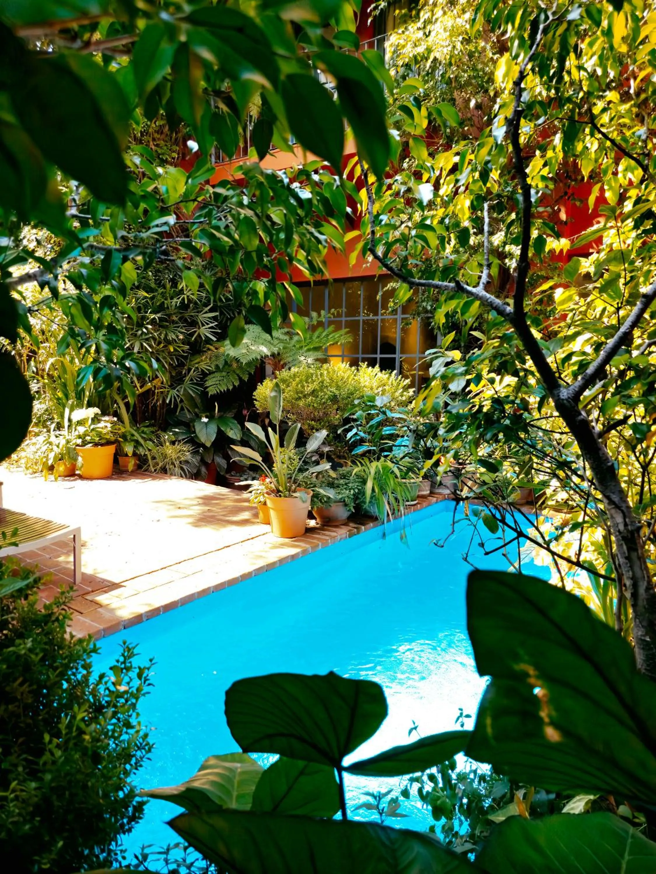 Garden in BE Jardin Escondido By Coppola