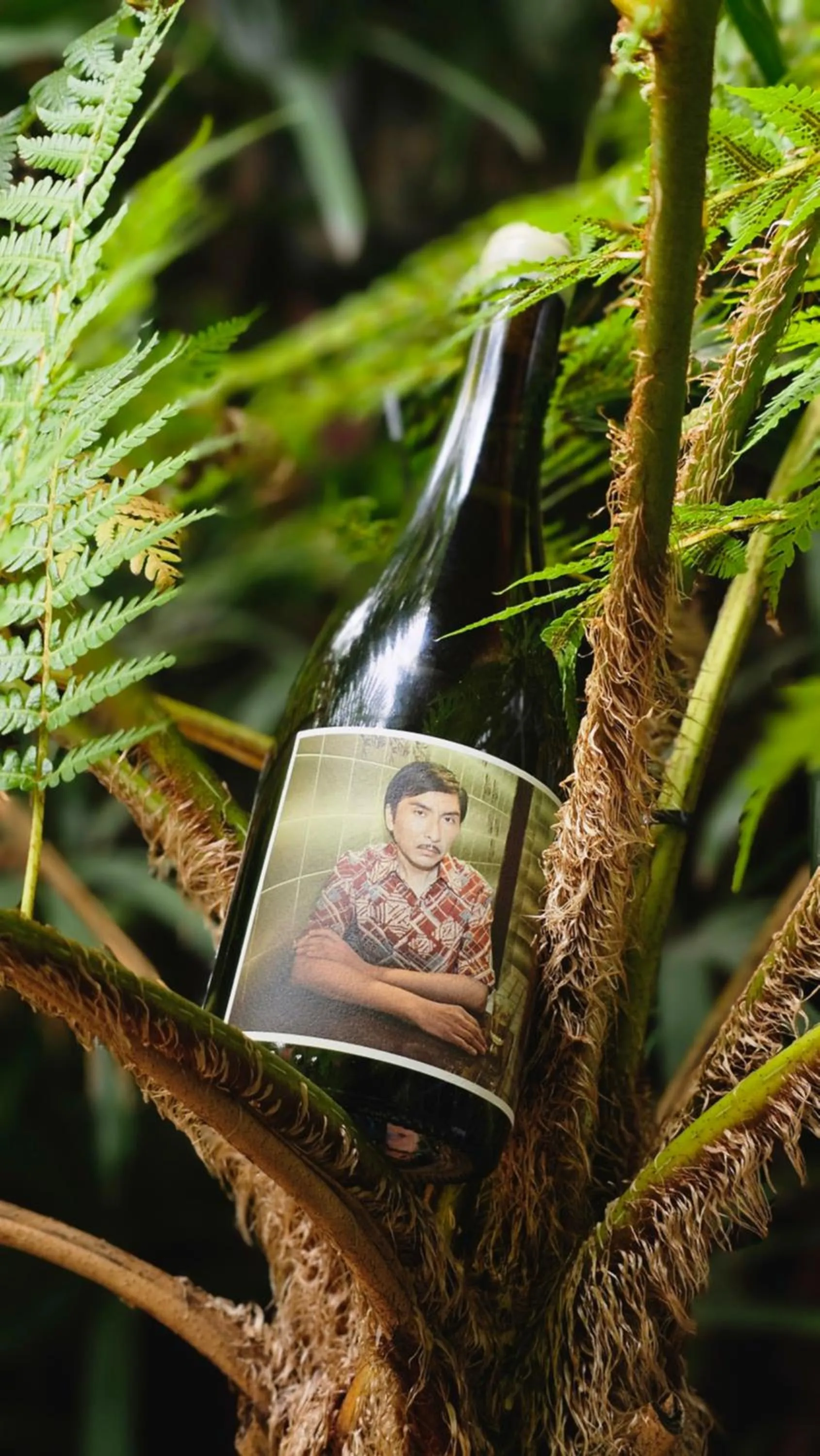 Alcoholic drinks in BE Jardin Escondido By Coppola