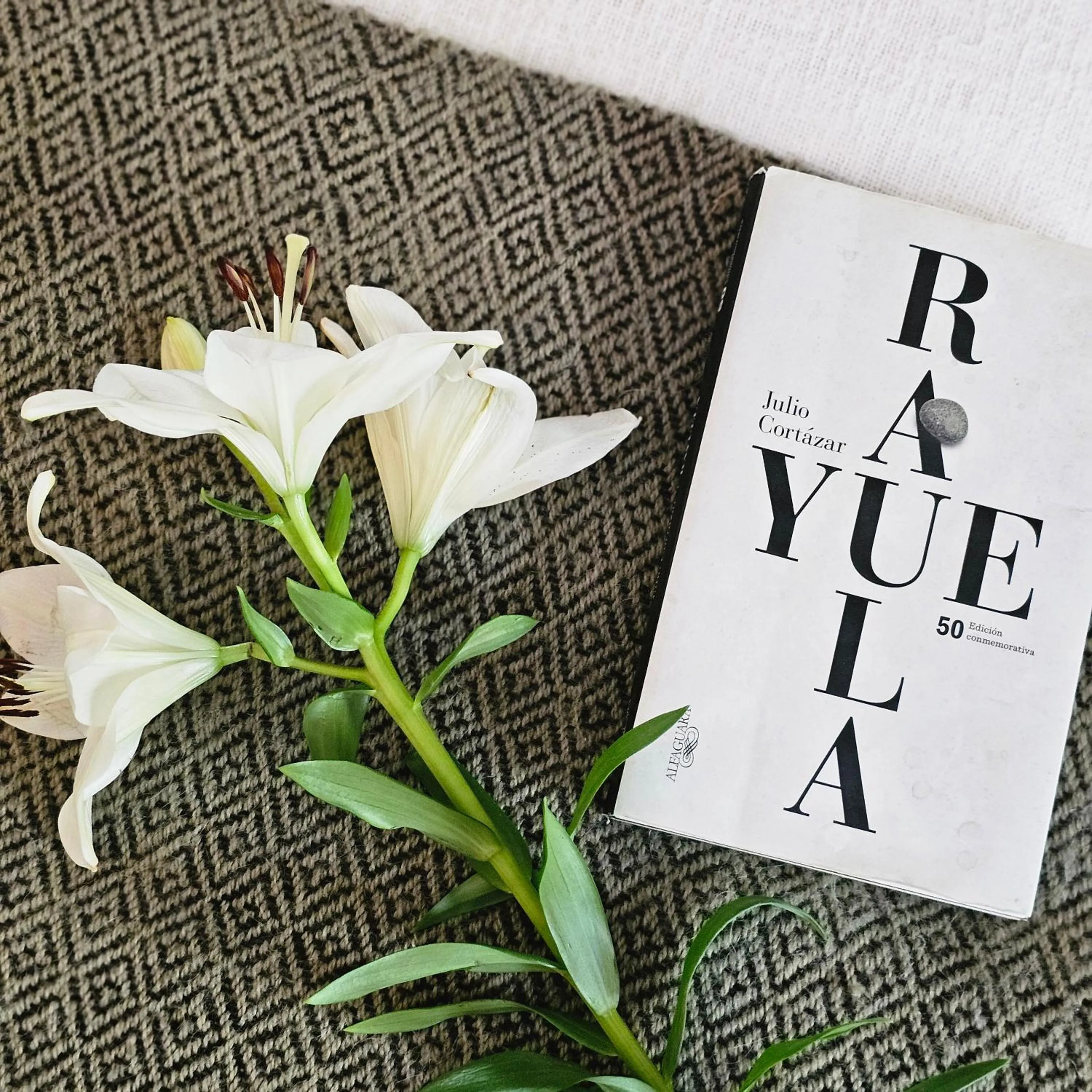 Decorative detail in BE Jardin Escondido By Coppola