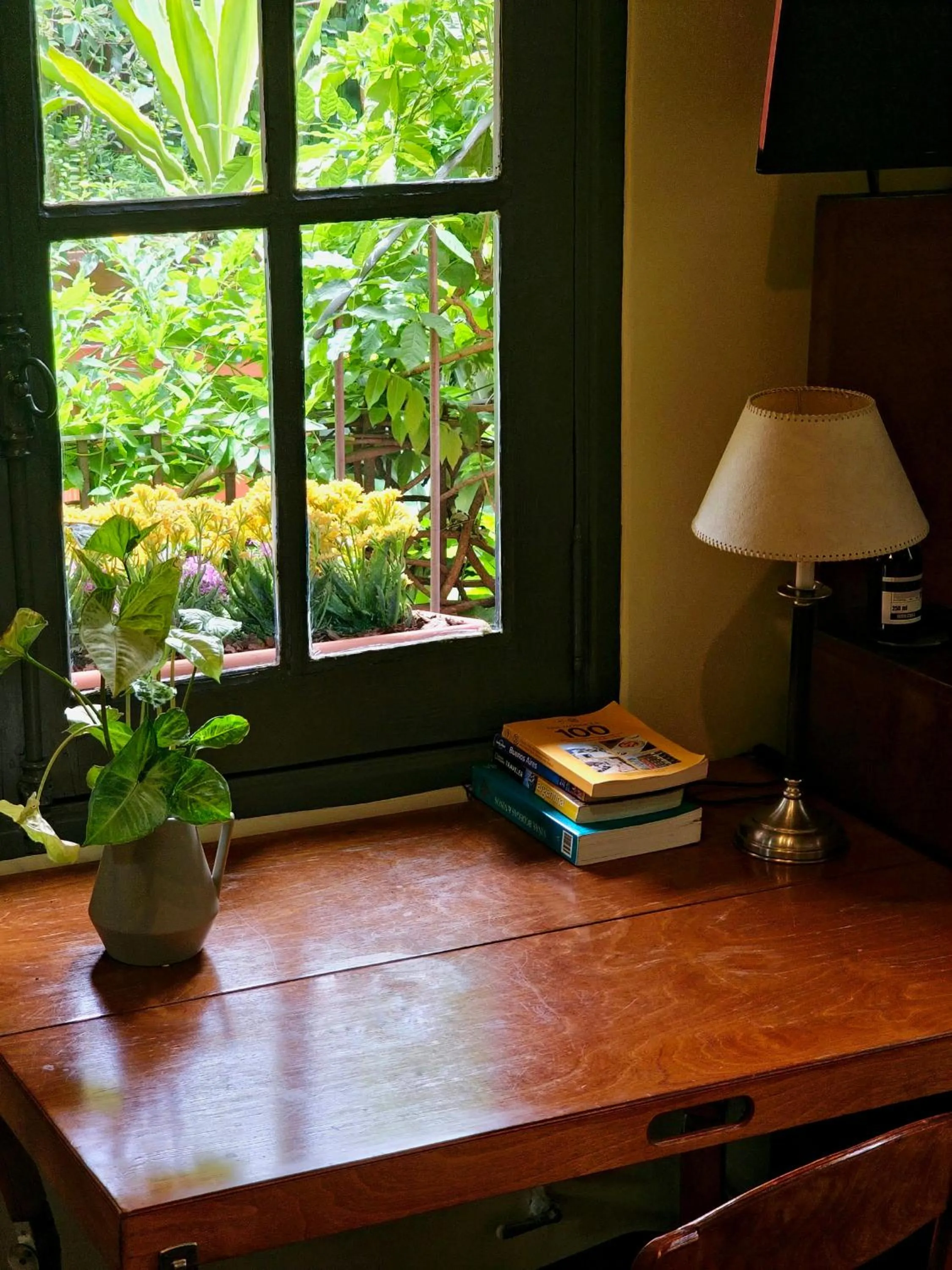 Garden view in BE Jardin Escondido By Coppola