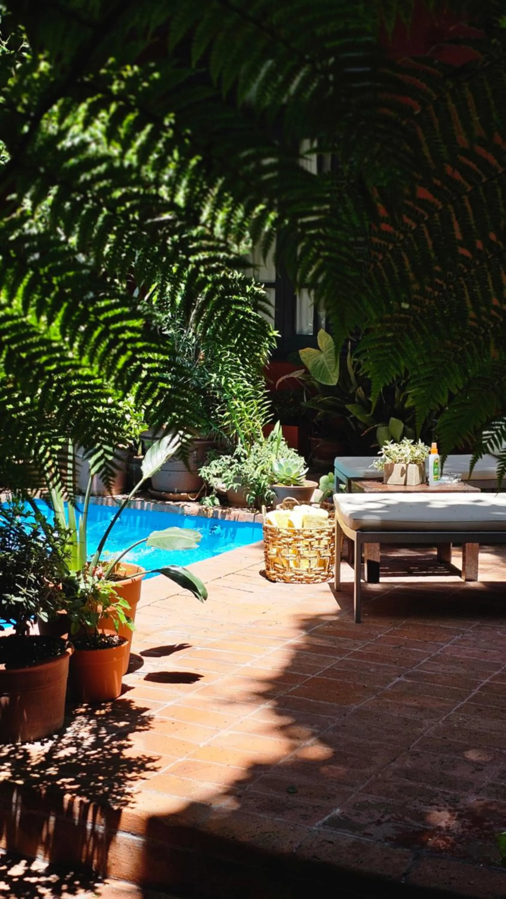 Garden in BE Jardin Escondido By Coppola