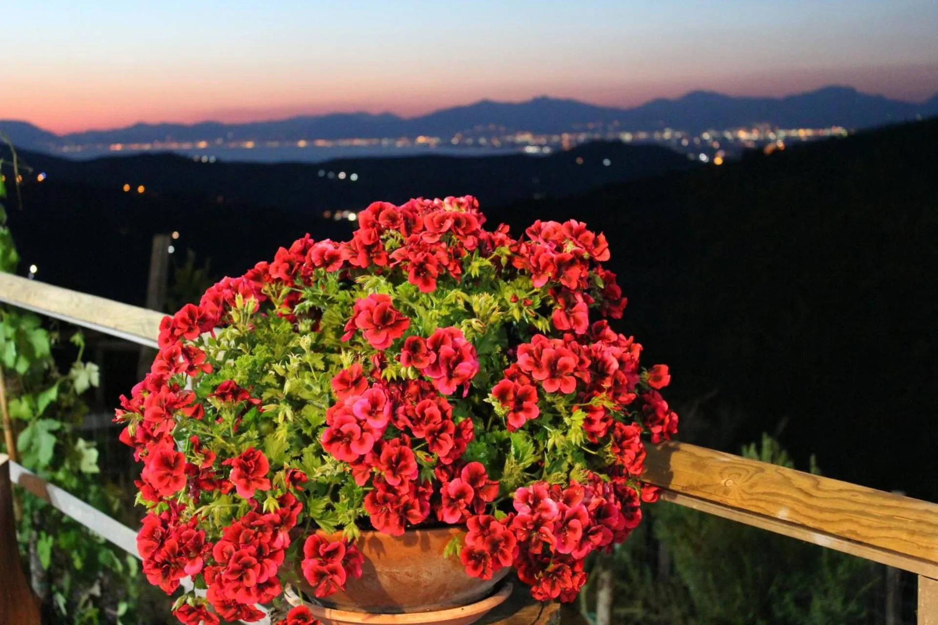 Sea view in B & B Il Campanile