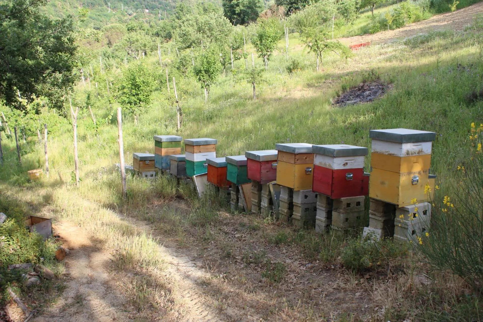 Nearby landmark in B & B Il Campanile