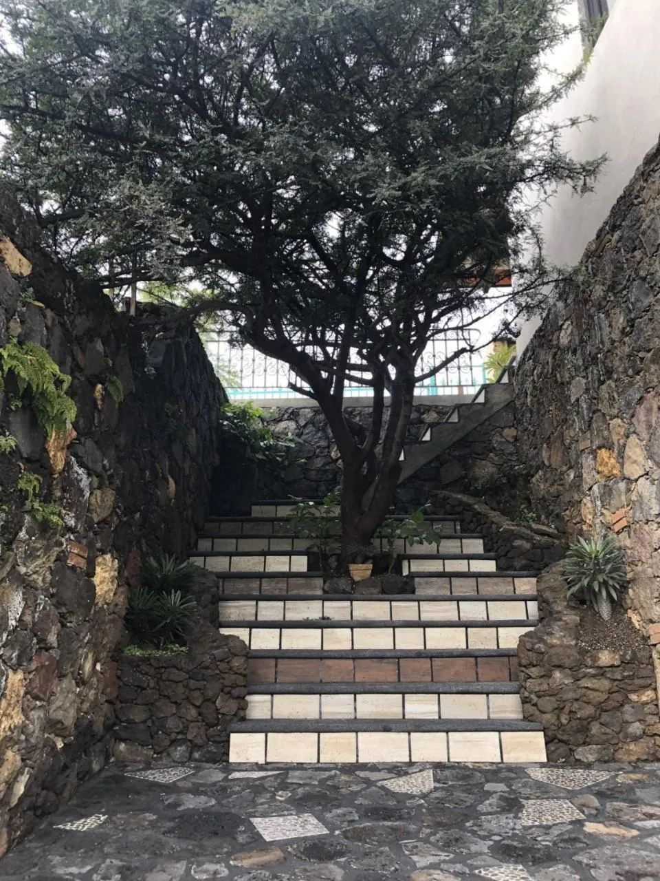 Lobby or reception in Paradise Hotel Boutique & Lounge