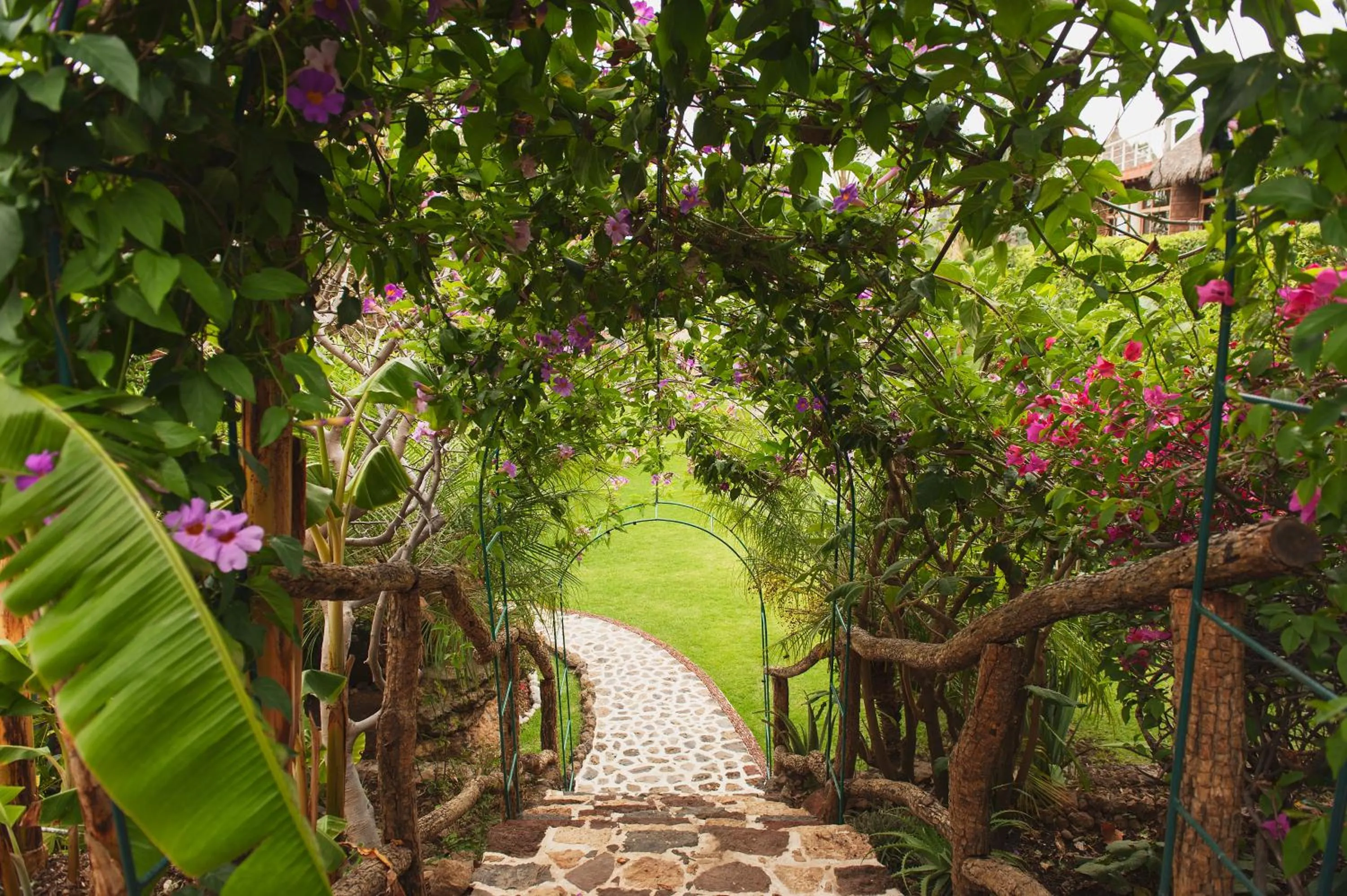 Garden in Paradise Hotel Boutique & Lounge