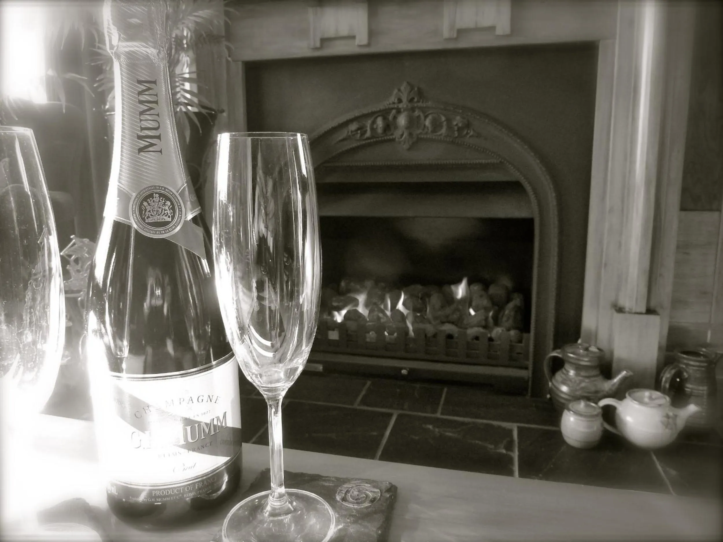 Alcoholic drinks in Te Anau Lodge