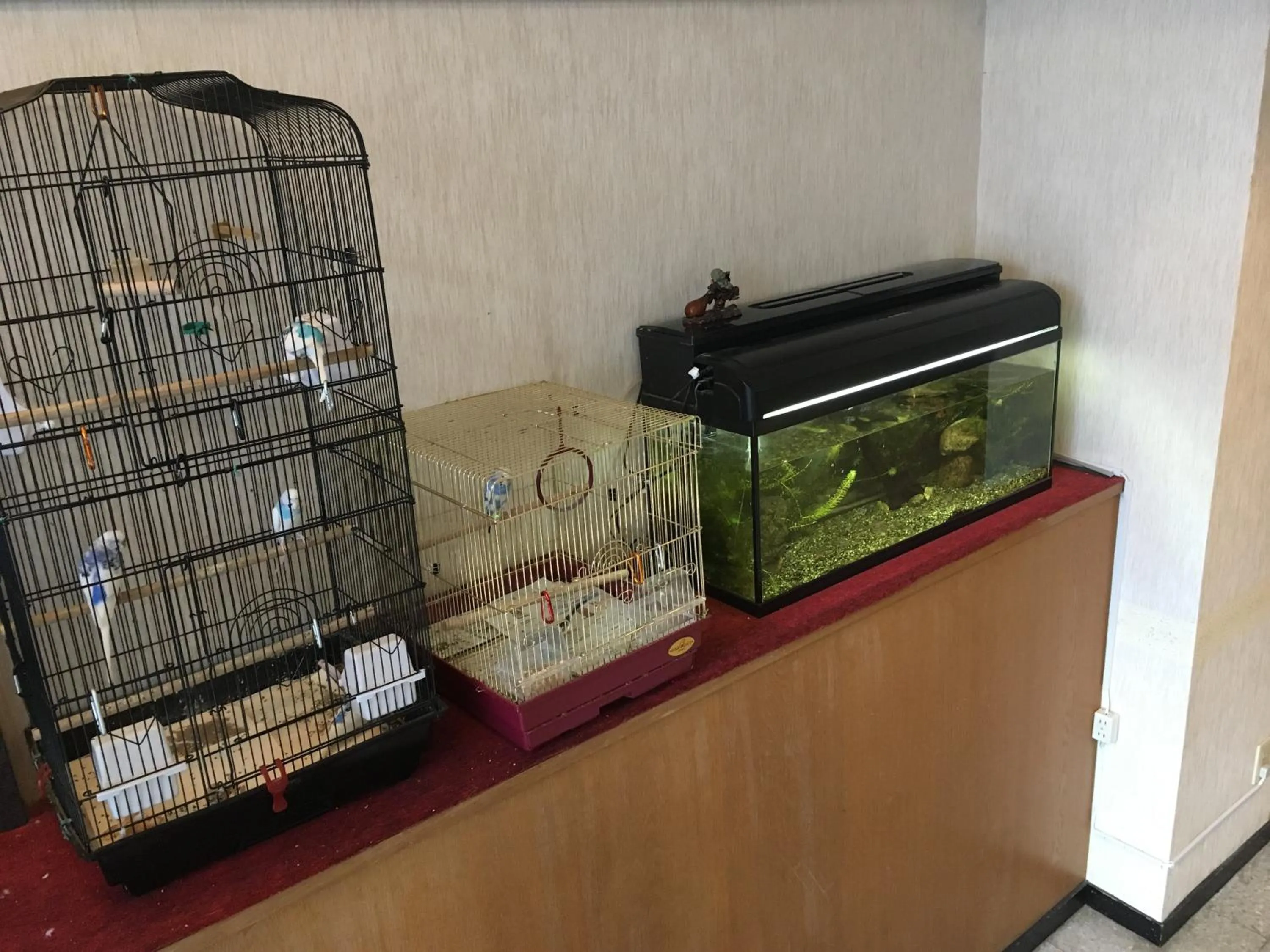 Okinawa Hotel Continental