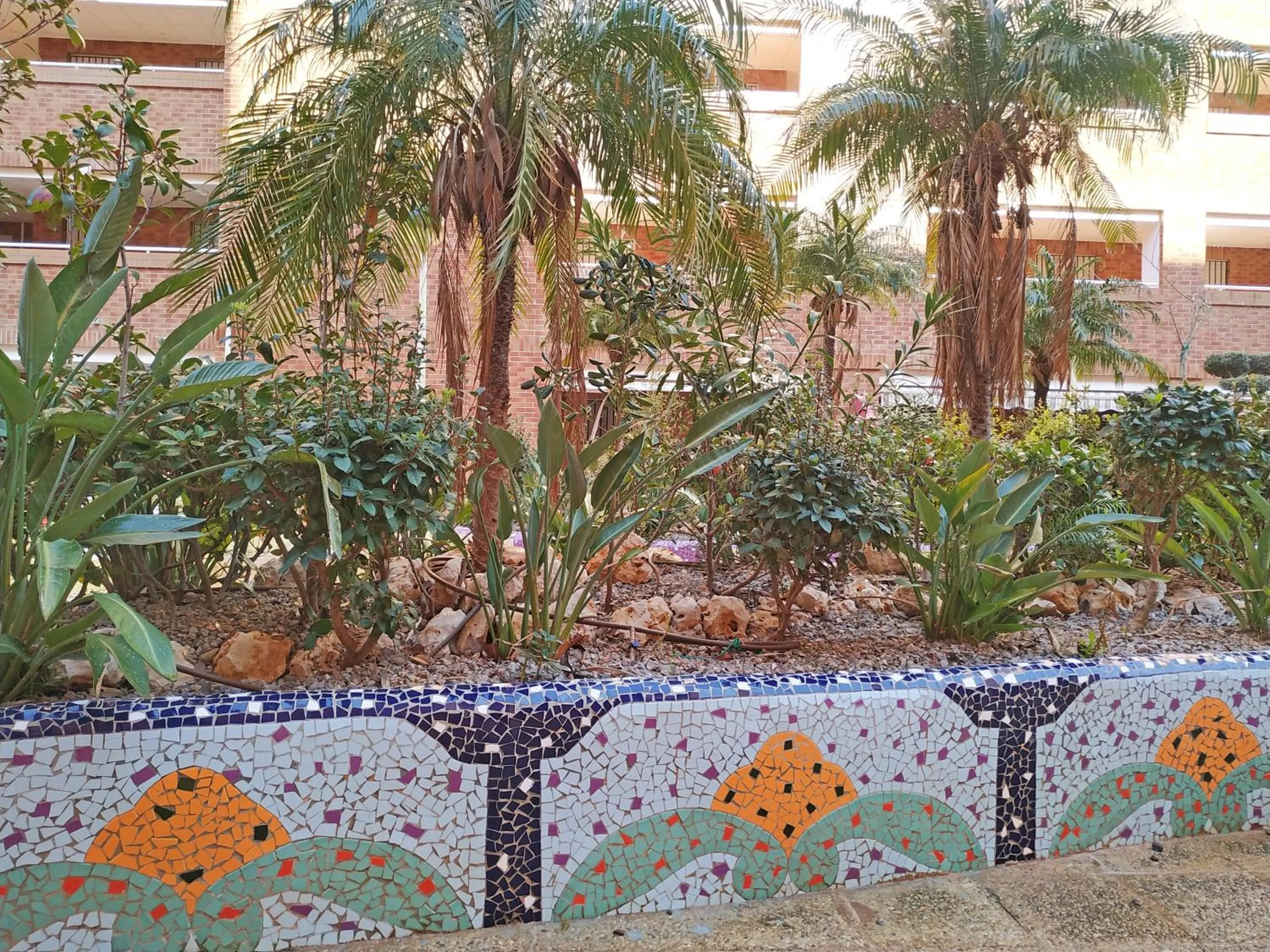 Other in Apartamentos Coral - Marfil Marina Dor 3000