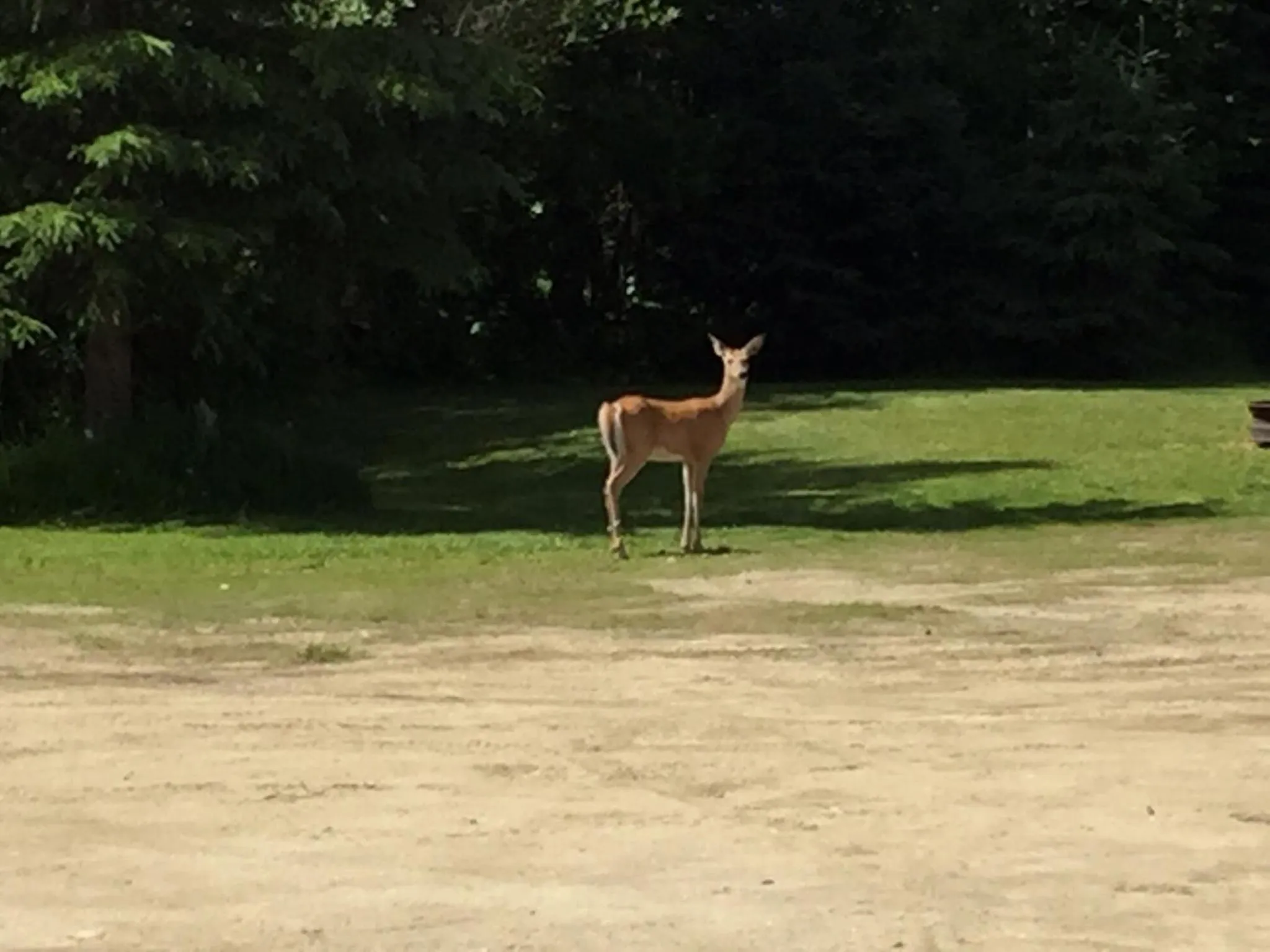 Summit River Lodge & Campsites