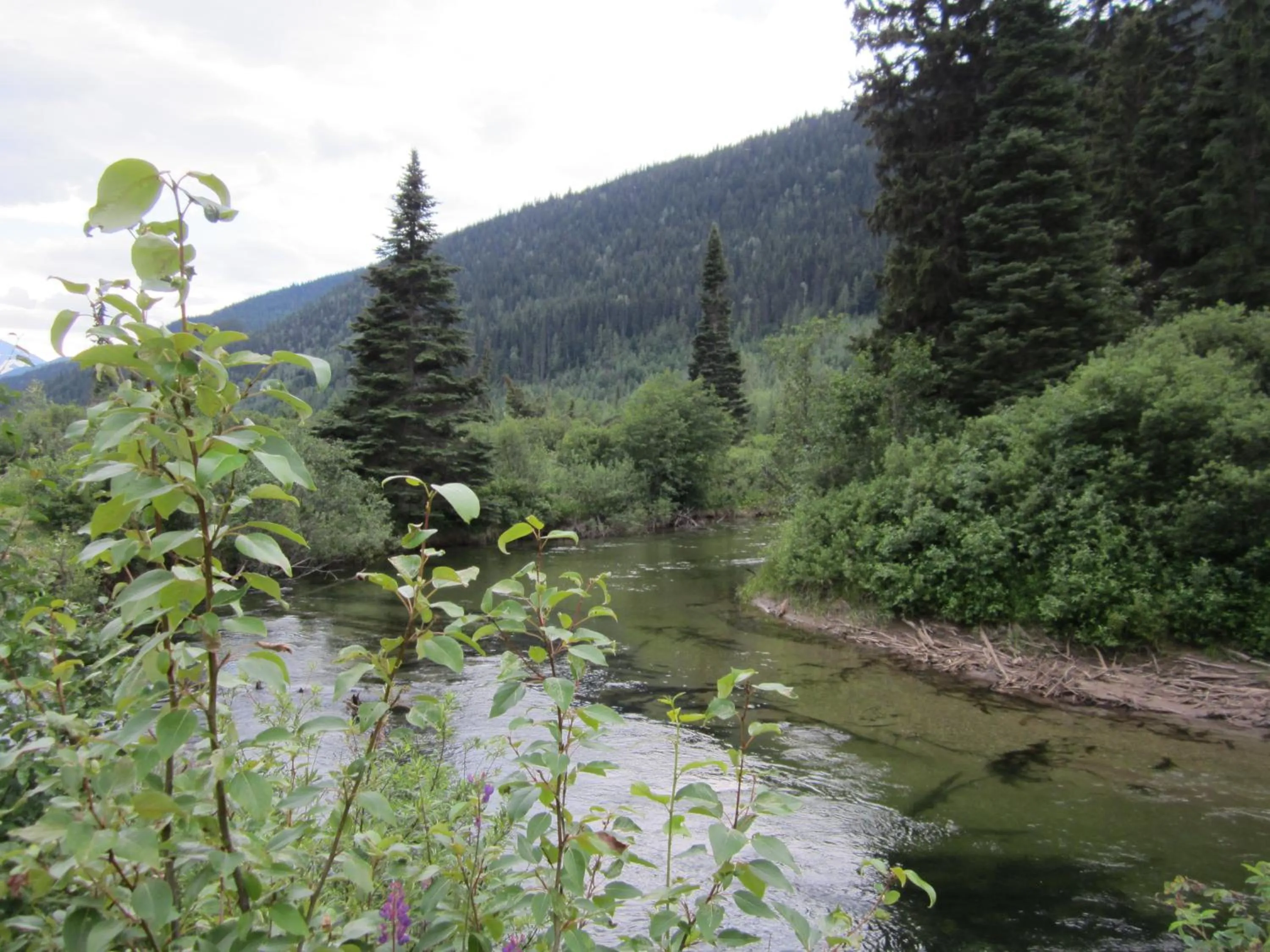 Area and facilities in Summit River Lodge & Campsites