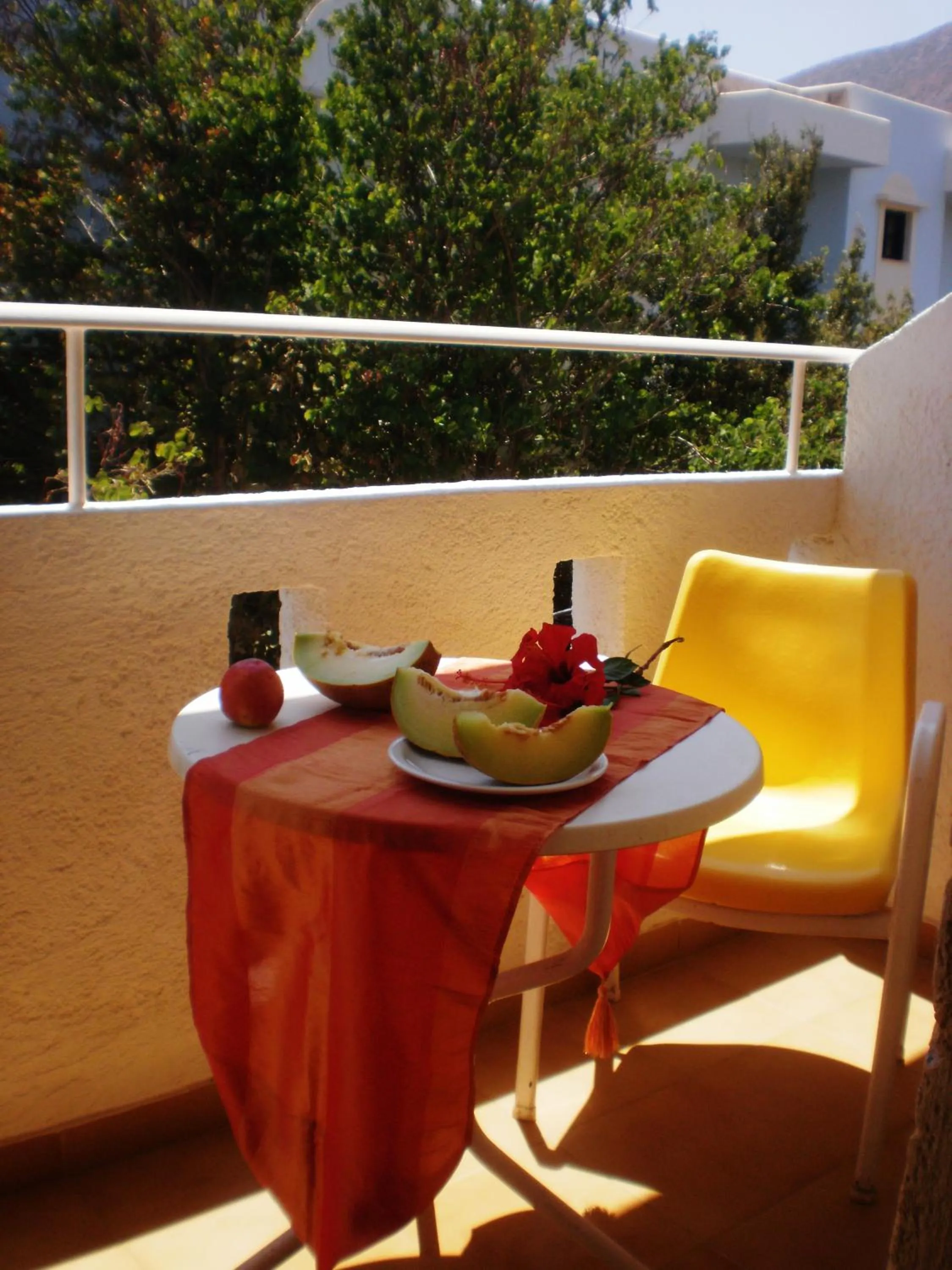 Balcony/Terrace in Floral Hotel