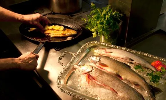 Restaurant/places to eat in Hotel Ochsen