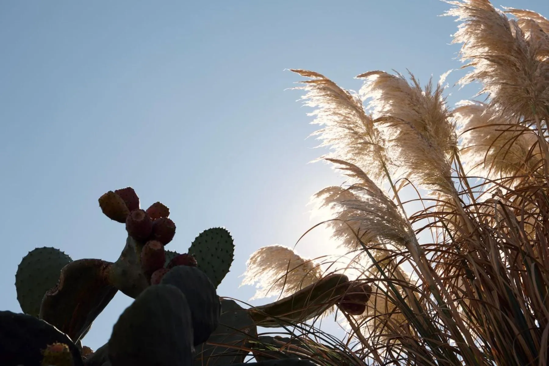 Decorative detail in Mykonos Earth Suites