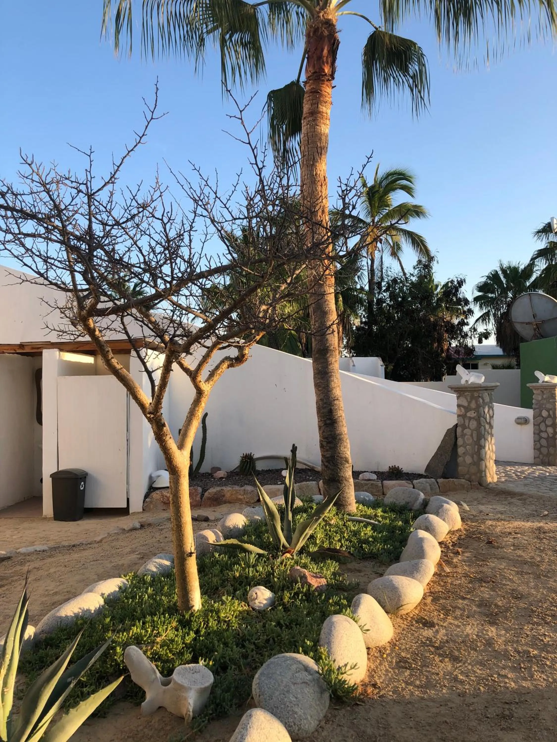 Property building in La Ventana Beach Resort