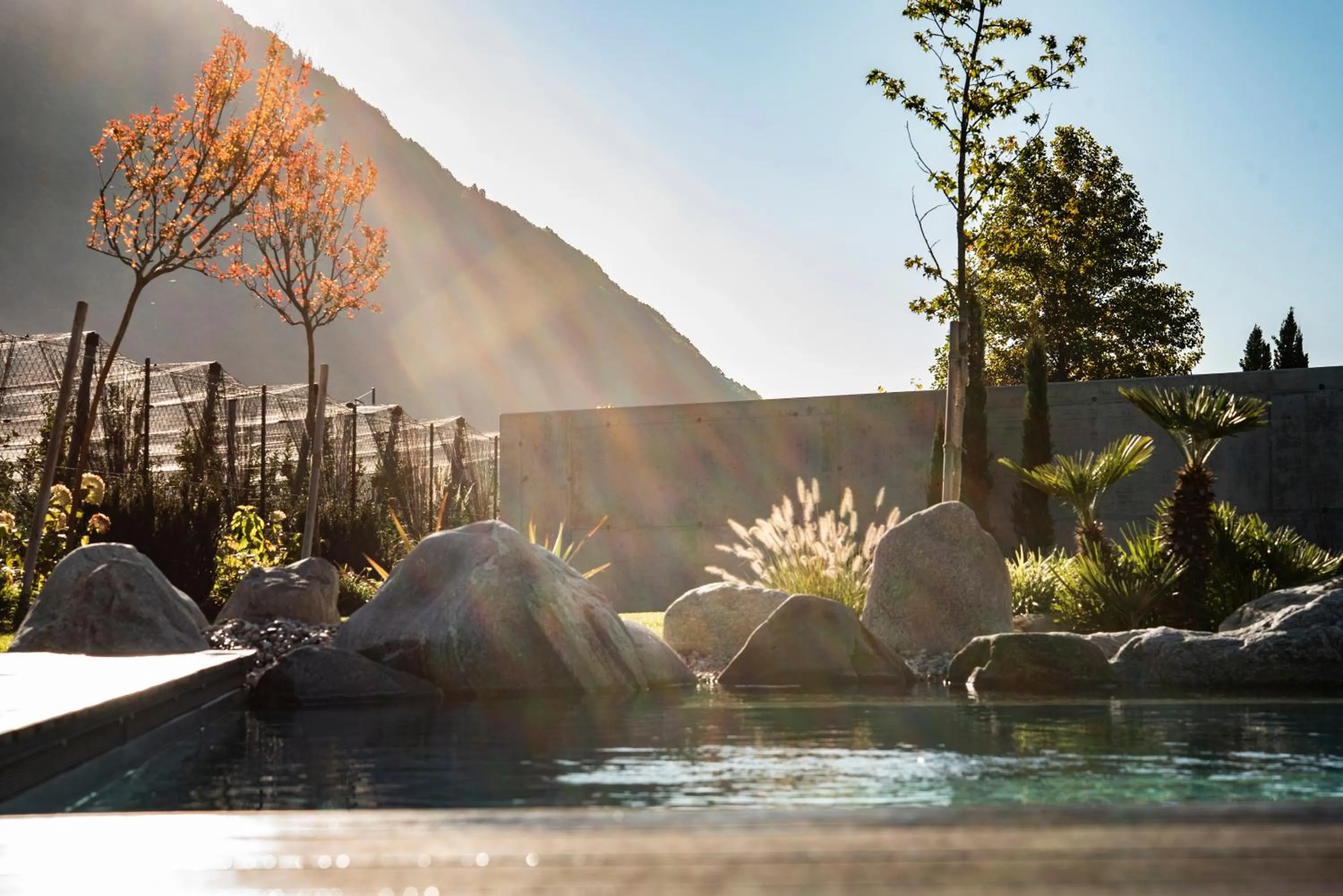 Garden in Apartments ANNY