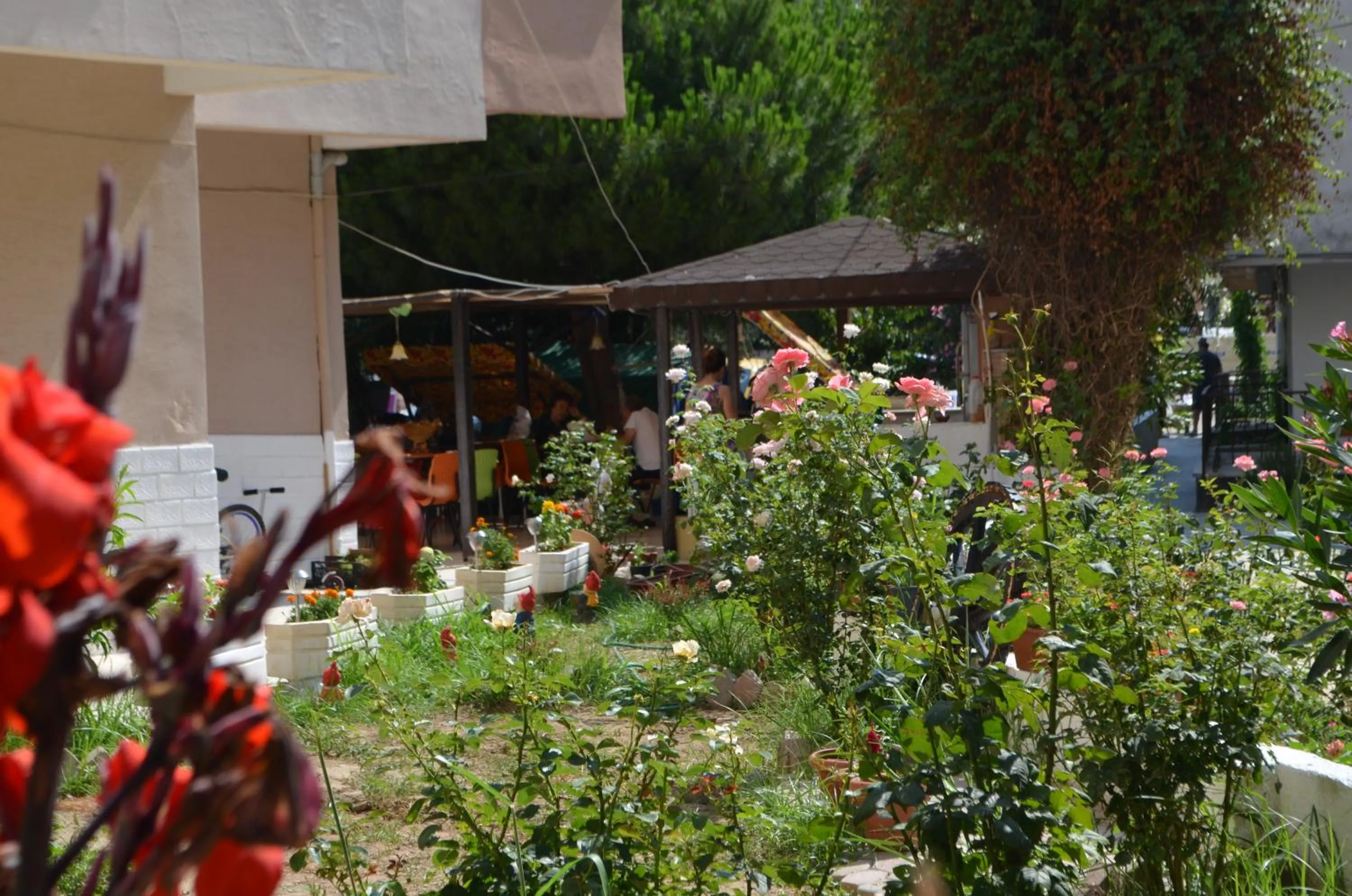 Garden in Ahmeda Apart Hotel