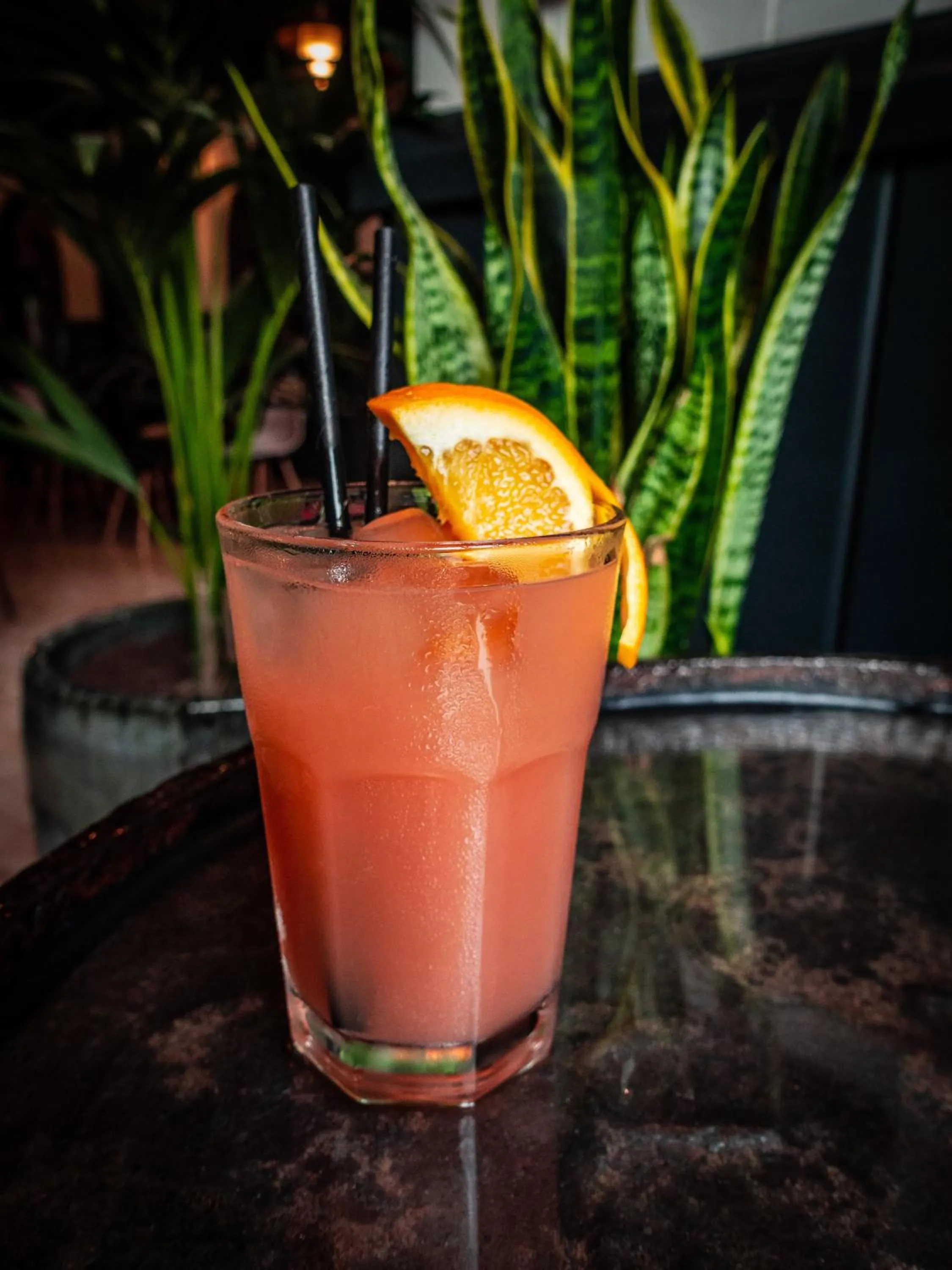 Lounge or bar, Drinks in Ulysses ApartHotel