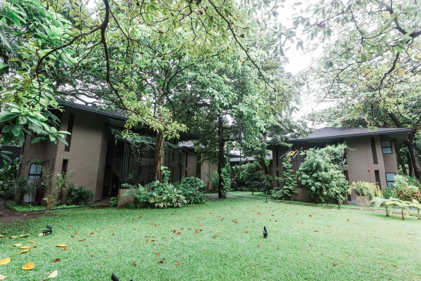 Garden in The Henry Resort Dumaguete