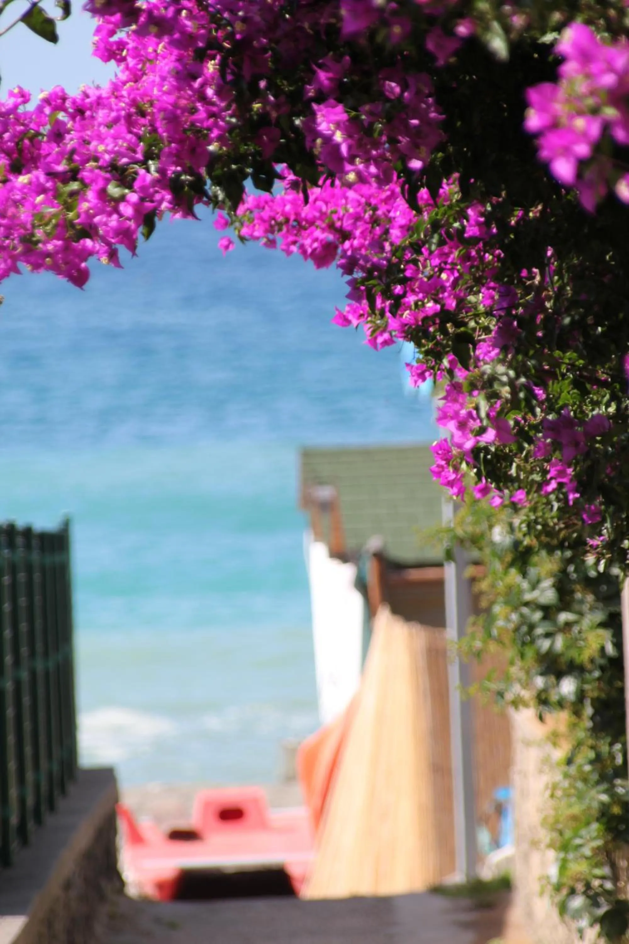 Spring in Hotel Maronti