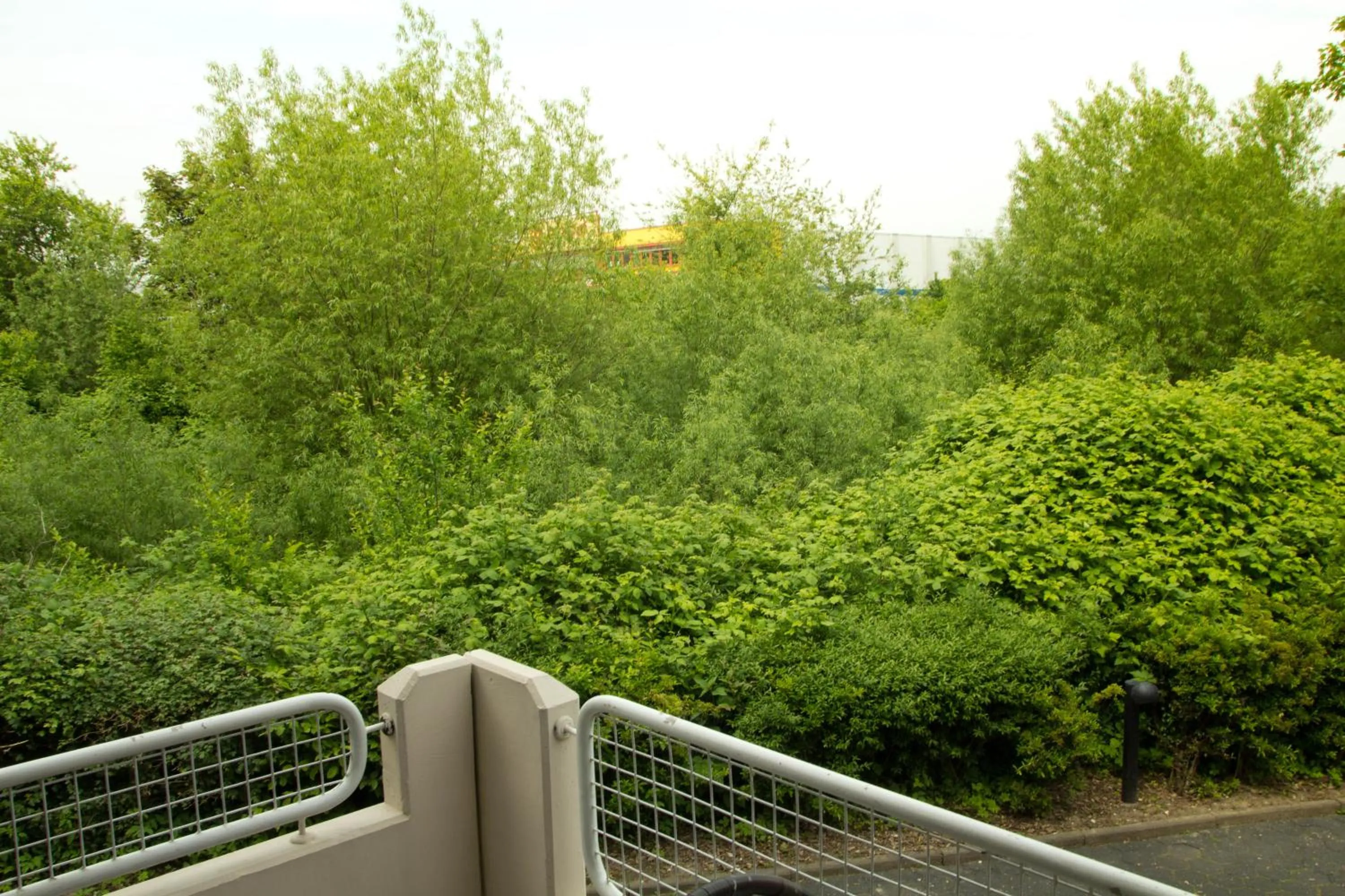 View (from property/room) in Hotel Senator