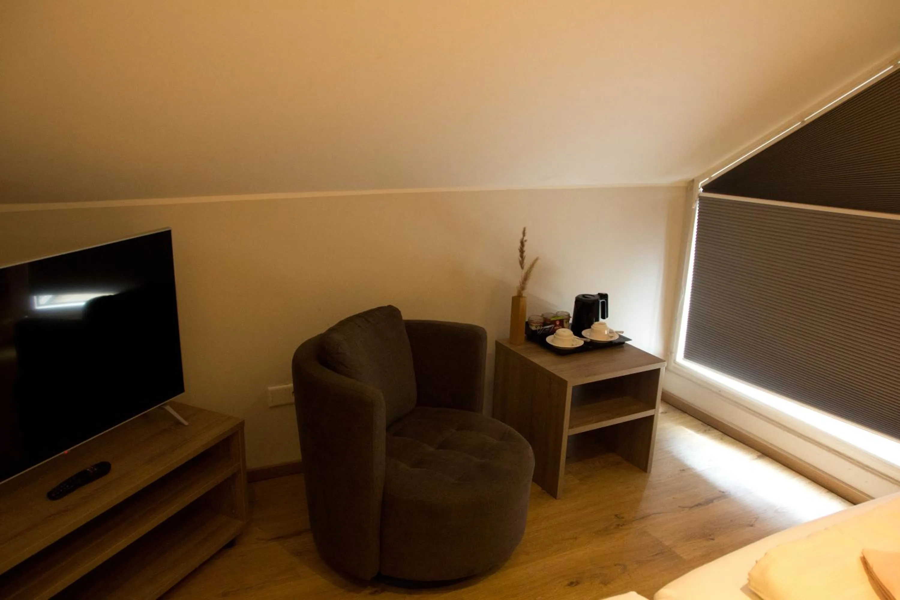 TV and multimedia in Hotel Senator