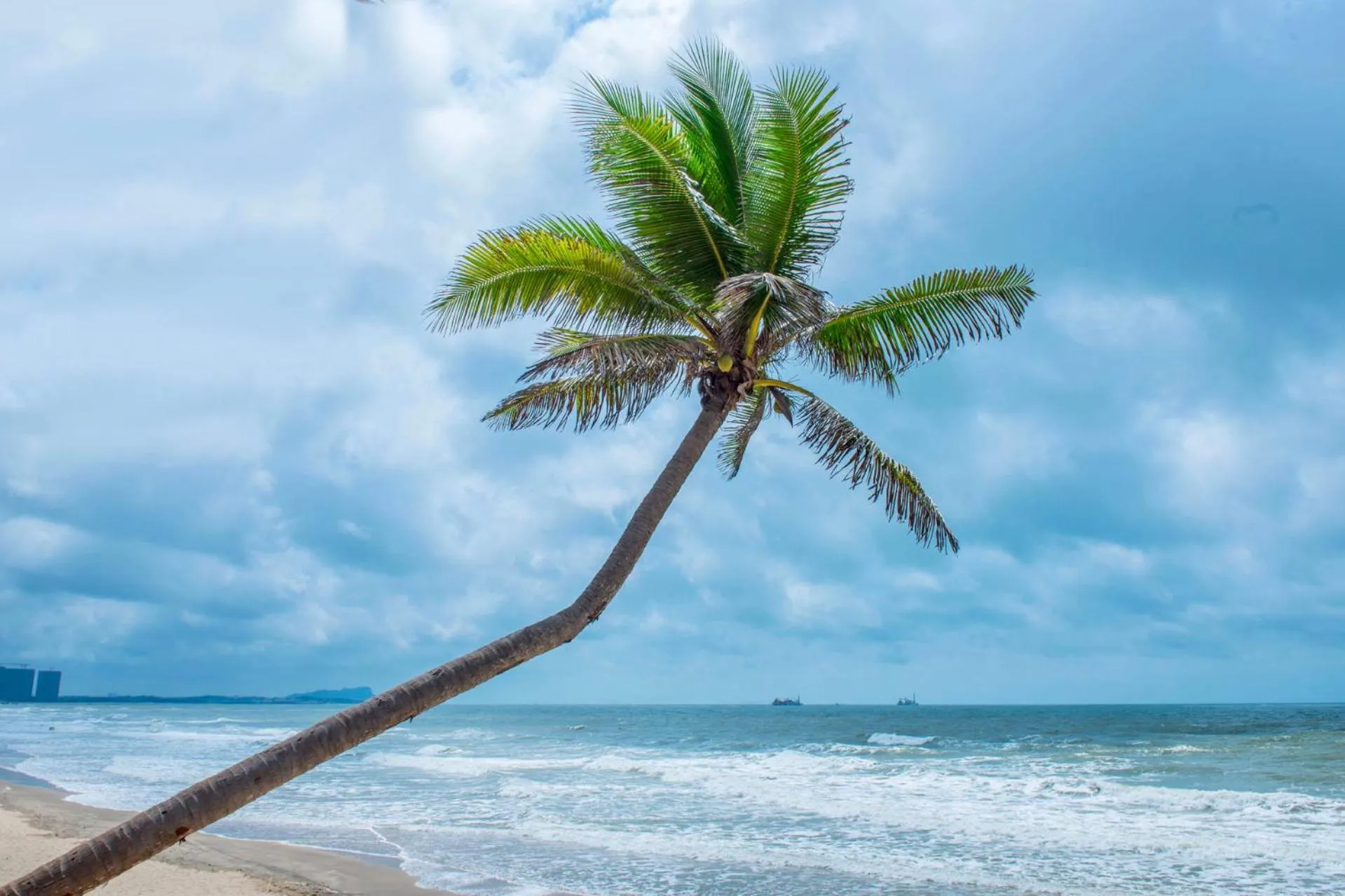 Beach in Four Points by Sheraton Wuchuan, Loong Bay