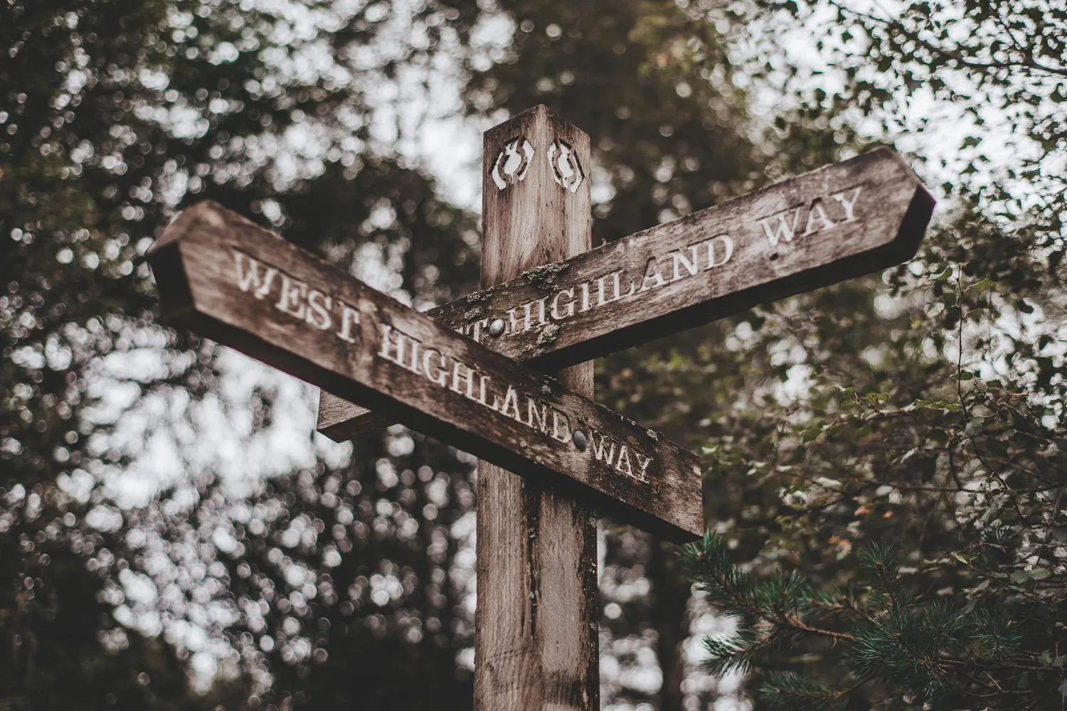 Nearby landmark in Crianlarich Youth Hostel