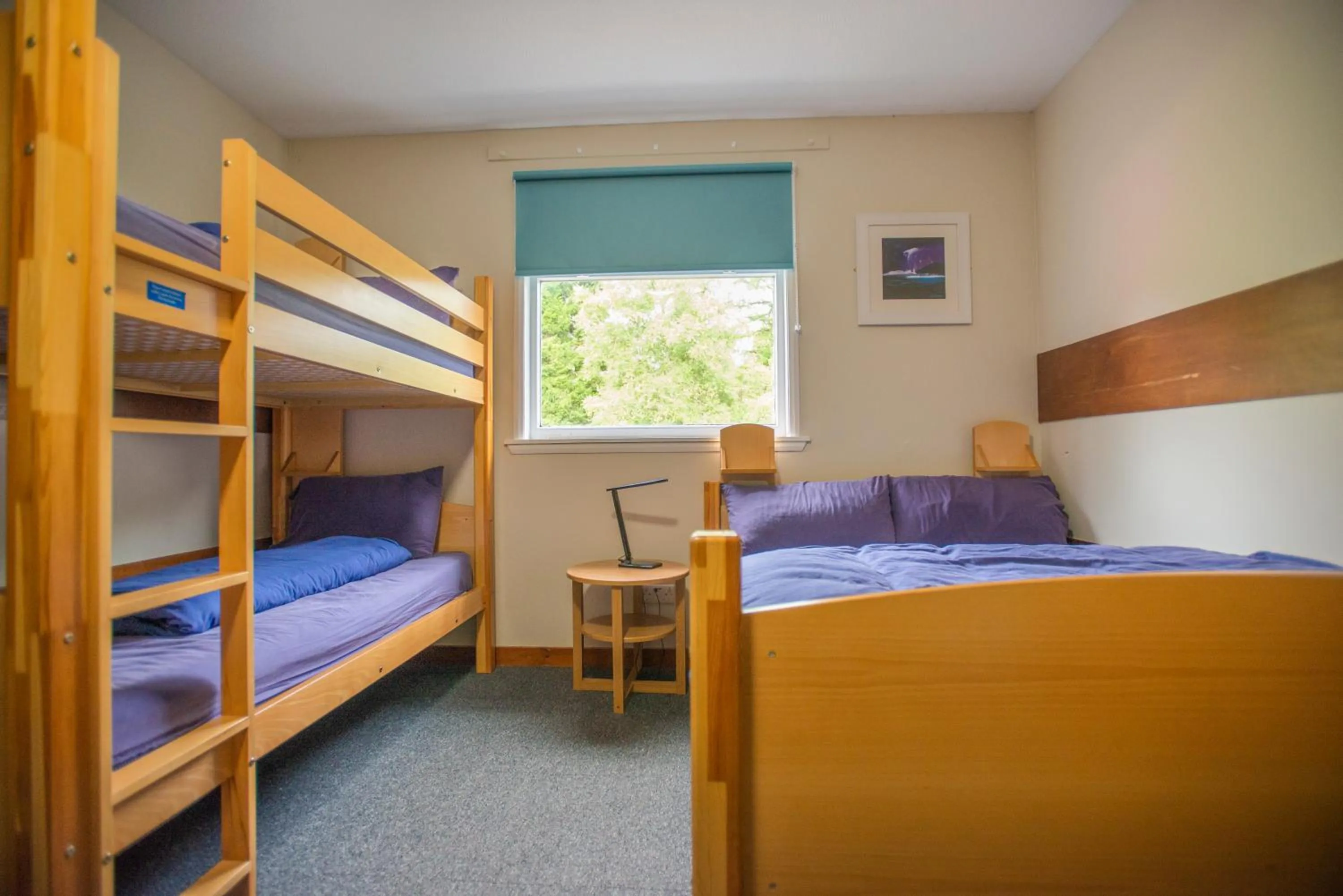 bunk bed, Bed in Crianlarich Youth Hostel