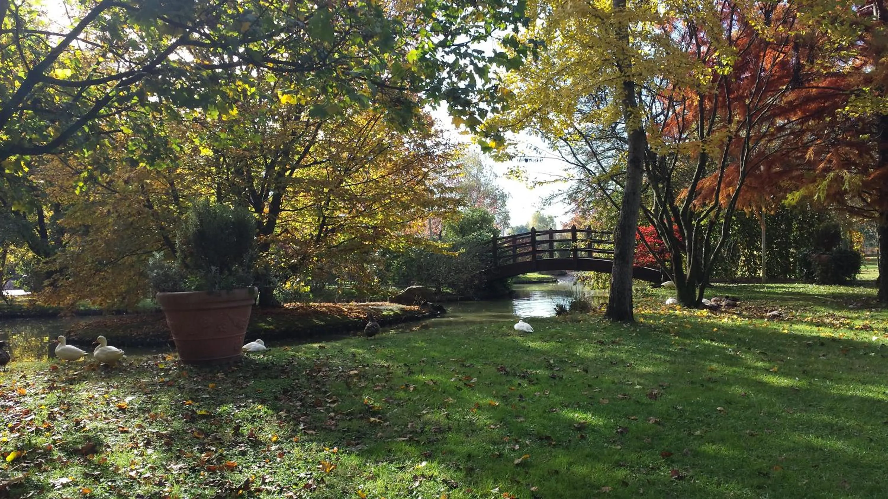 Day in Antica Postumia