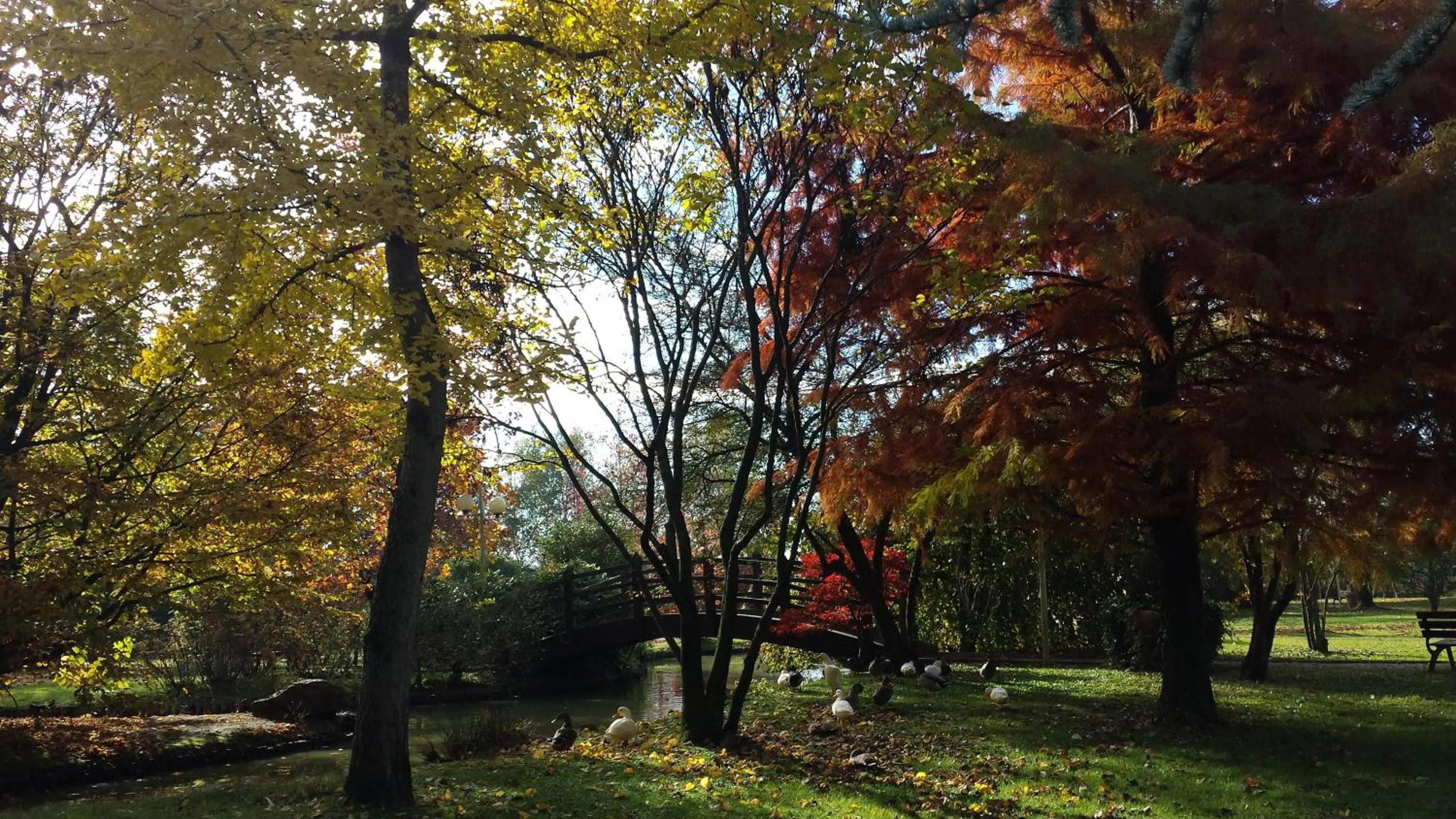 Day in Antica Postumia