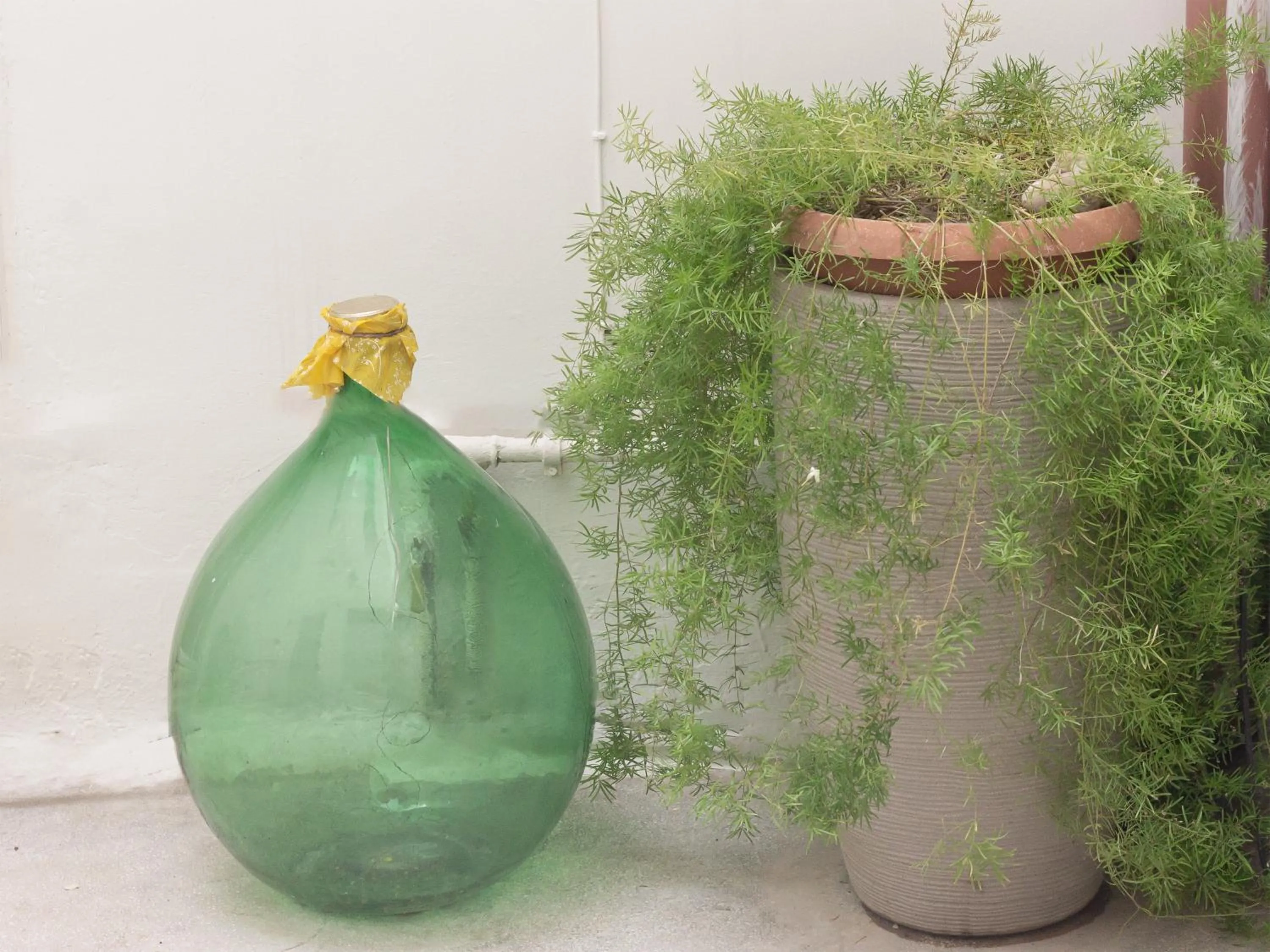 Garden in A casa di Nonna Rosa