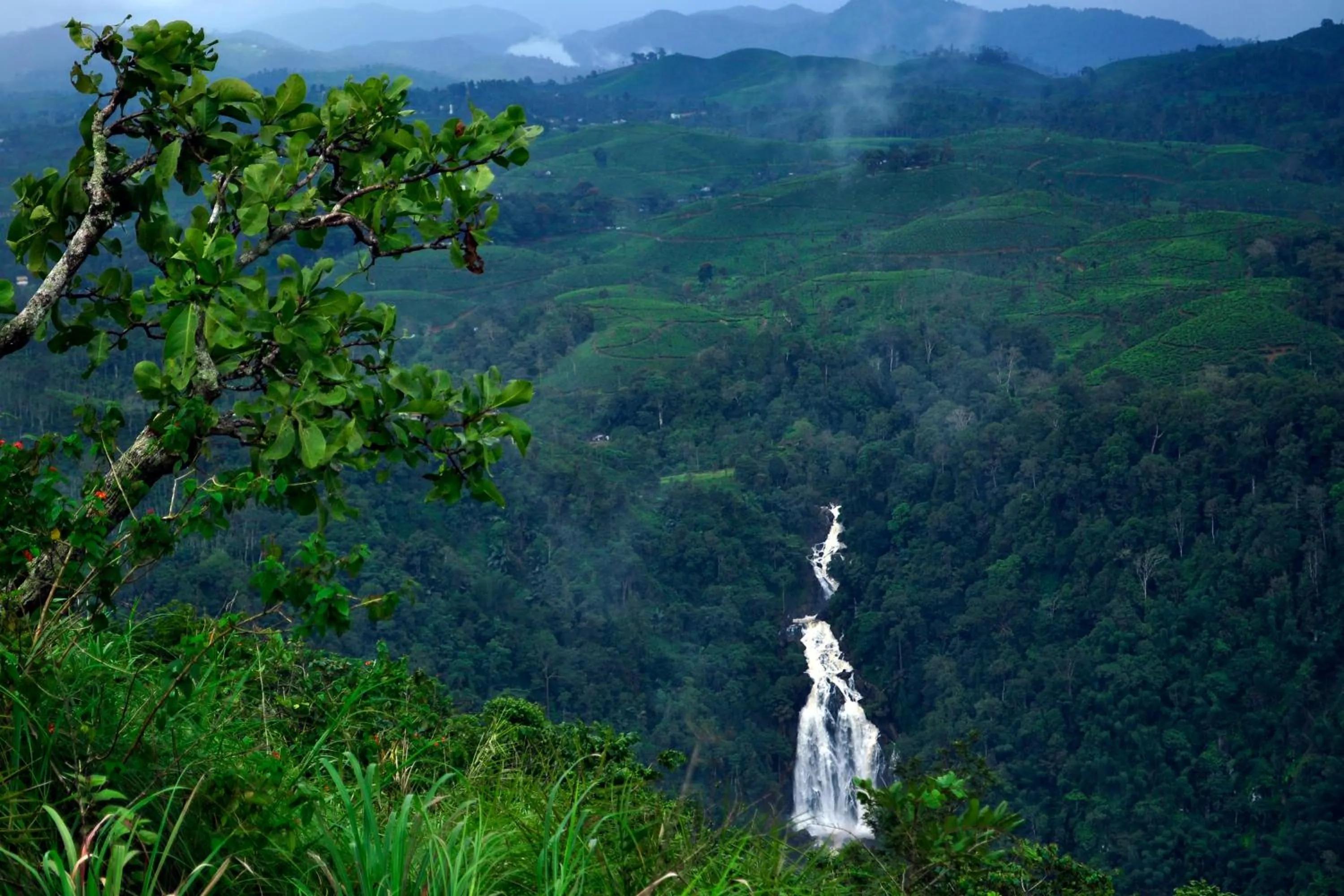 Neighbourhood in Grassroots Wayanad, Valley-view Tents