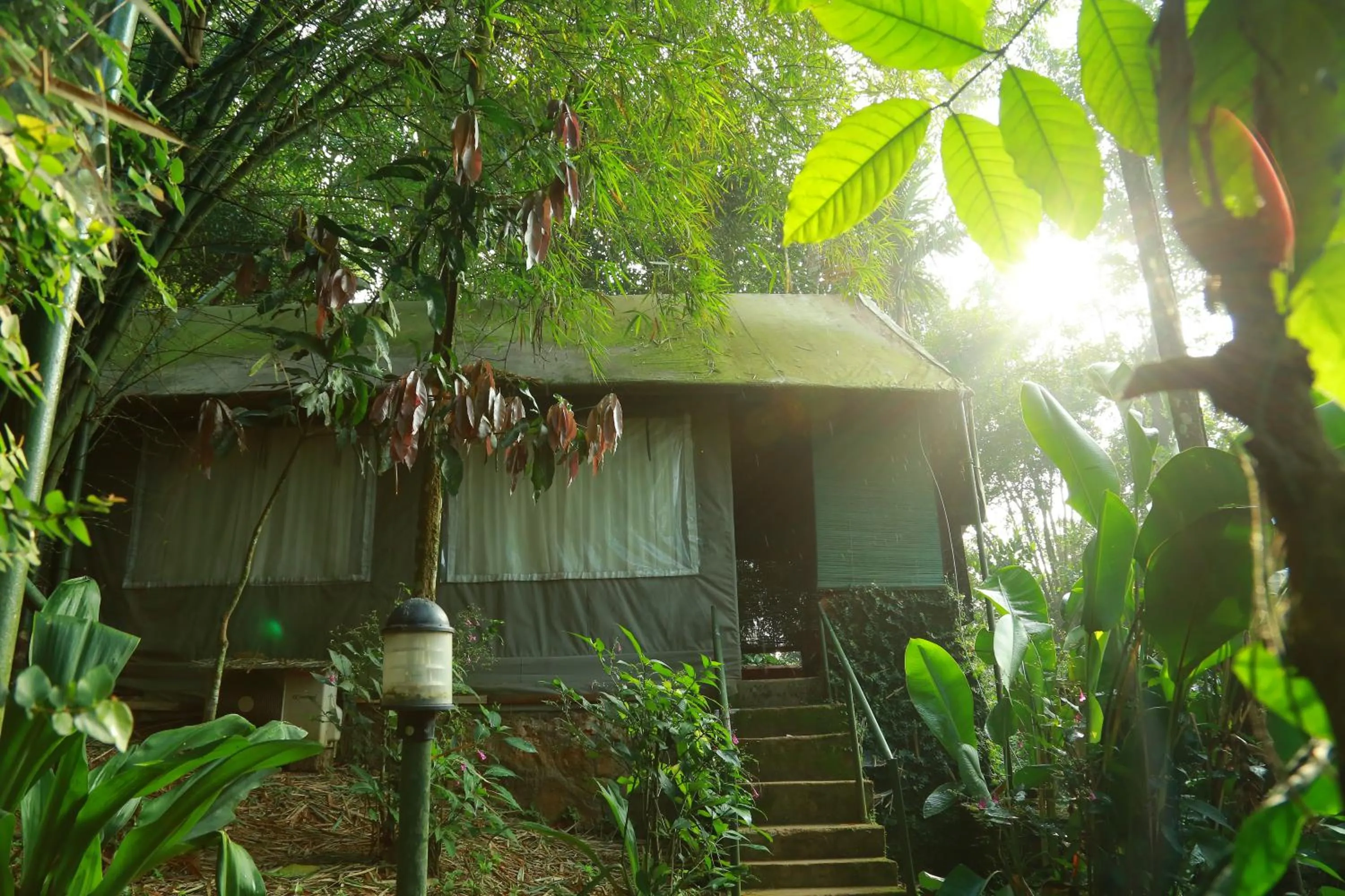 Bedroom in Grassroots Wayanad, Valley-view Tents