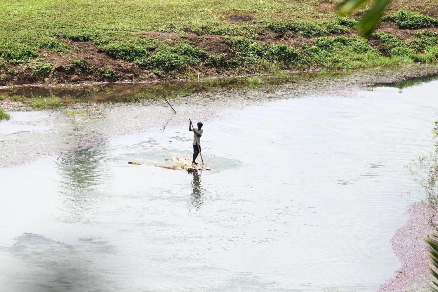 Fishing in Grassroots Wayanad, Valley-view Tents