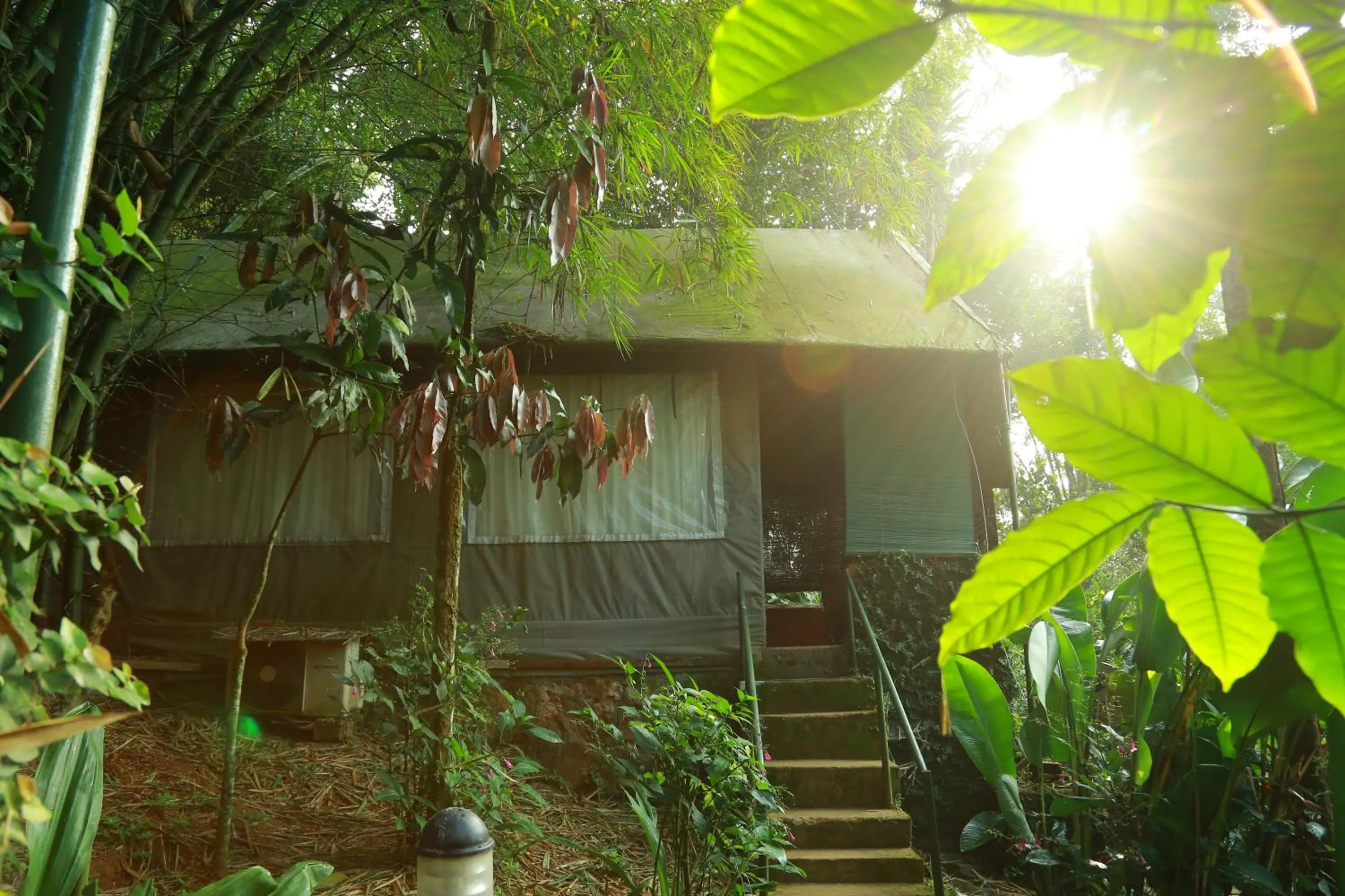 Bedroom in Grassroots Wayanad, Valley-view Tents