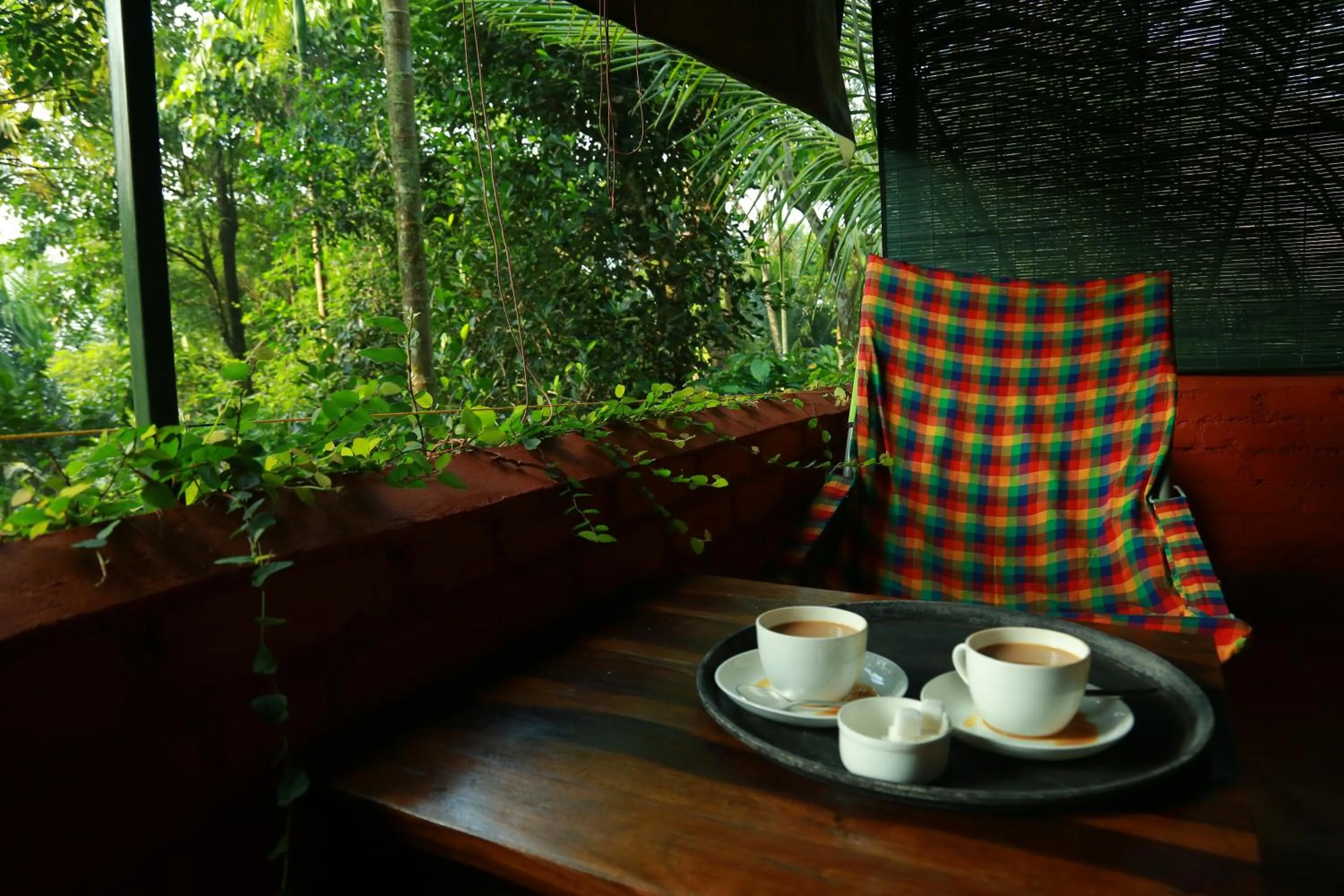 Seating area in Grassroots Wayanad, Valley-view Tents