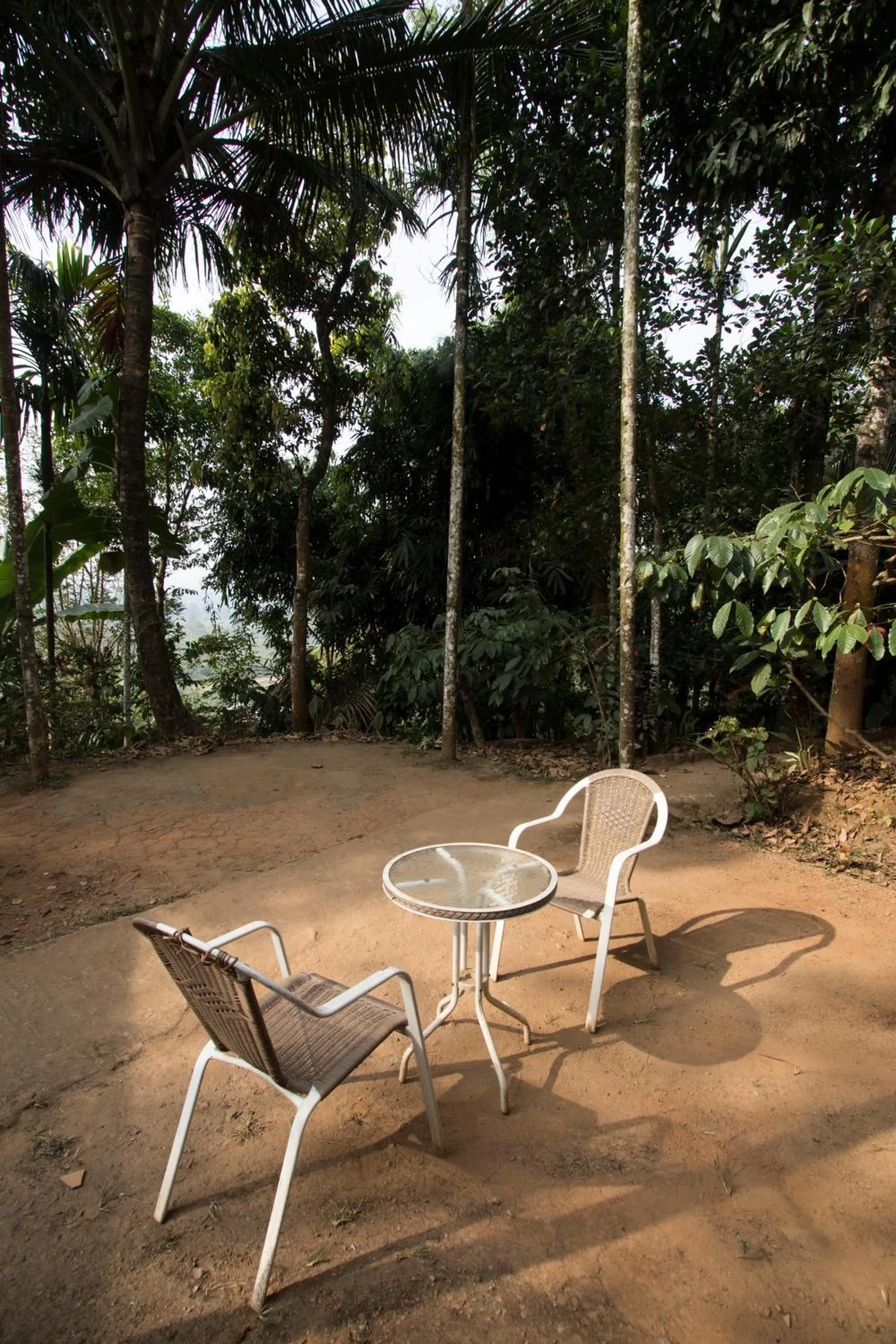 Seating area in Grassroots Wayanad, Valley-view Tents