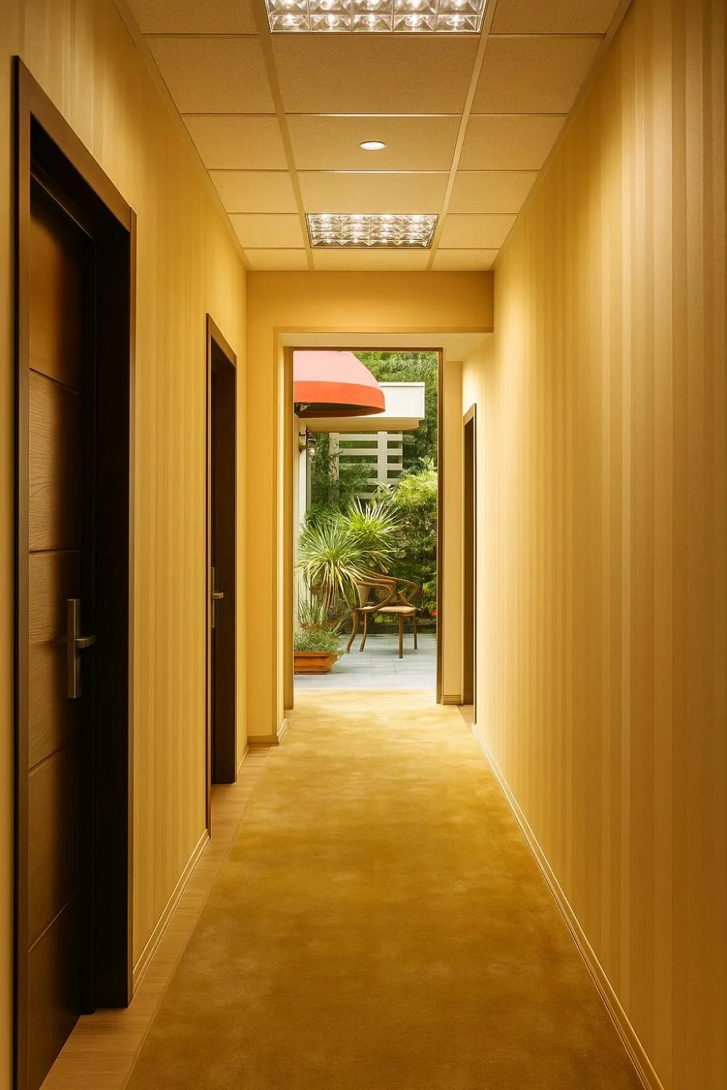 Area and facilities in Rustaveli Palace