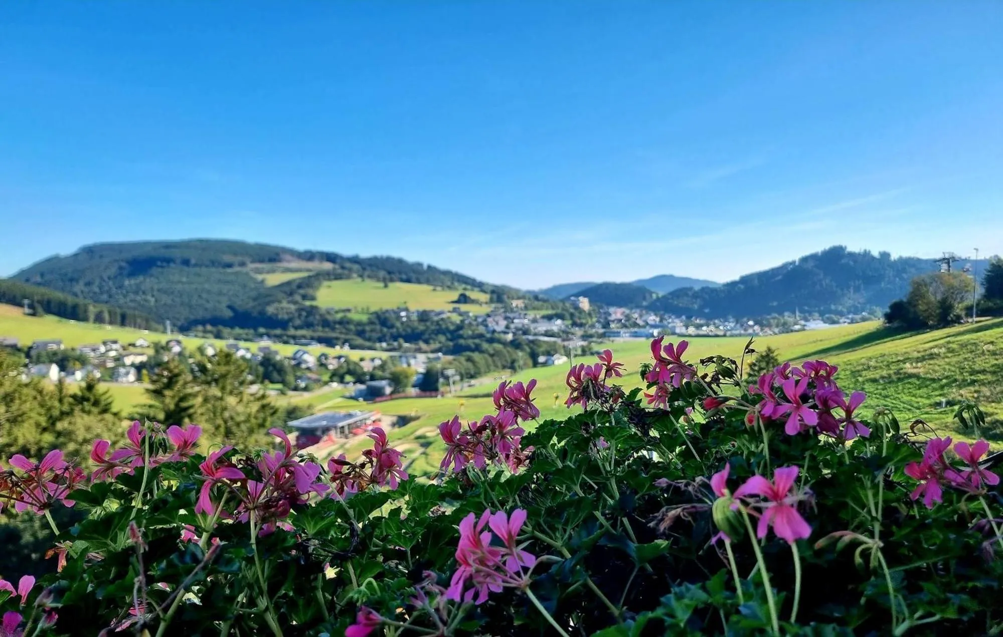 Wald Hotel Willingen