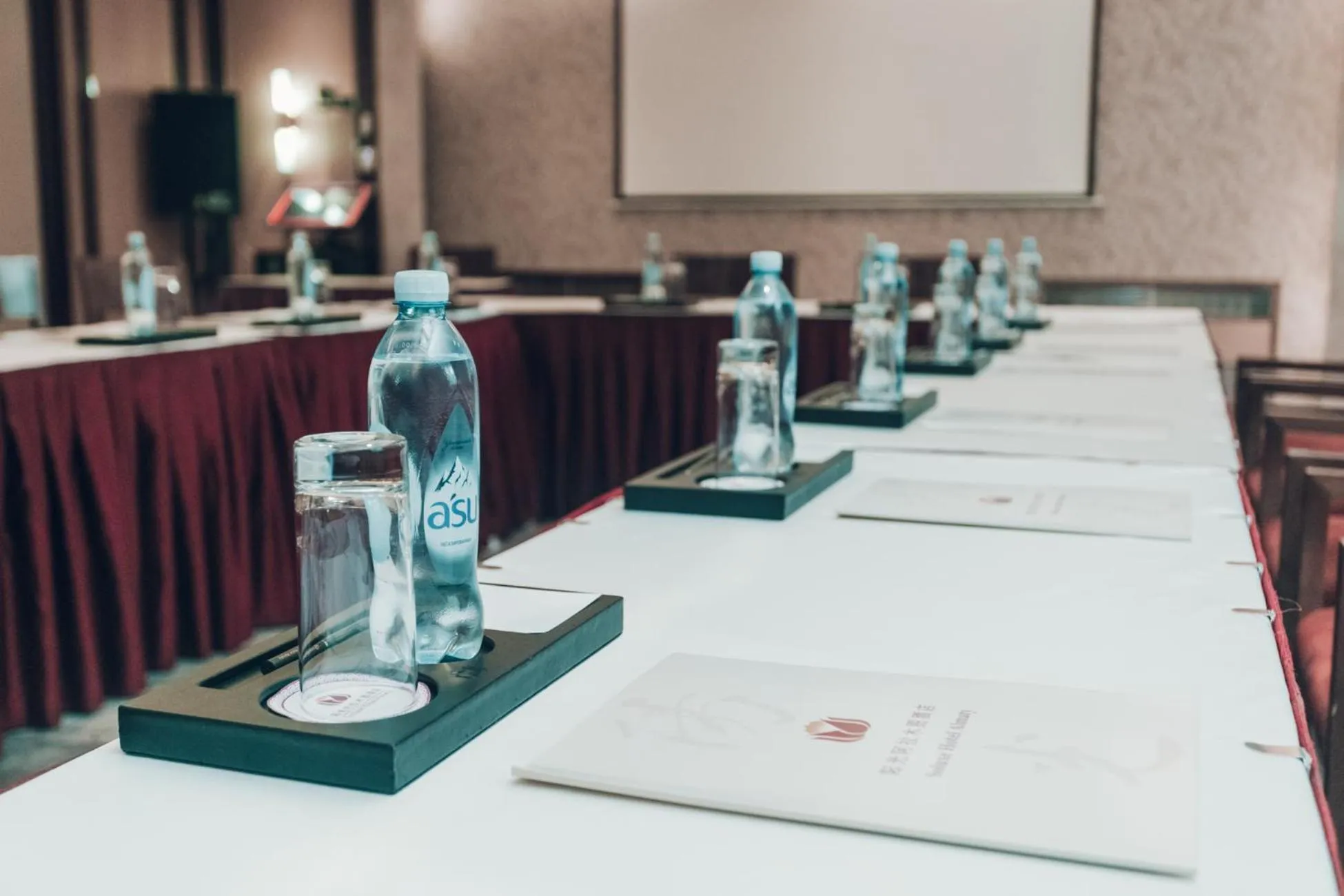 Meeting/conference room in Soluxe Hotel Almaty