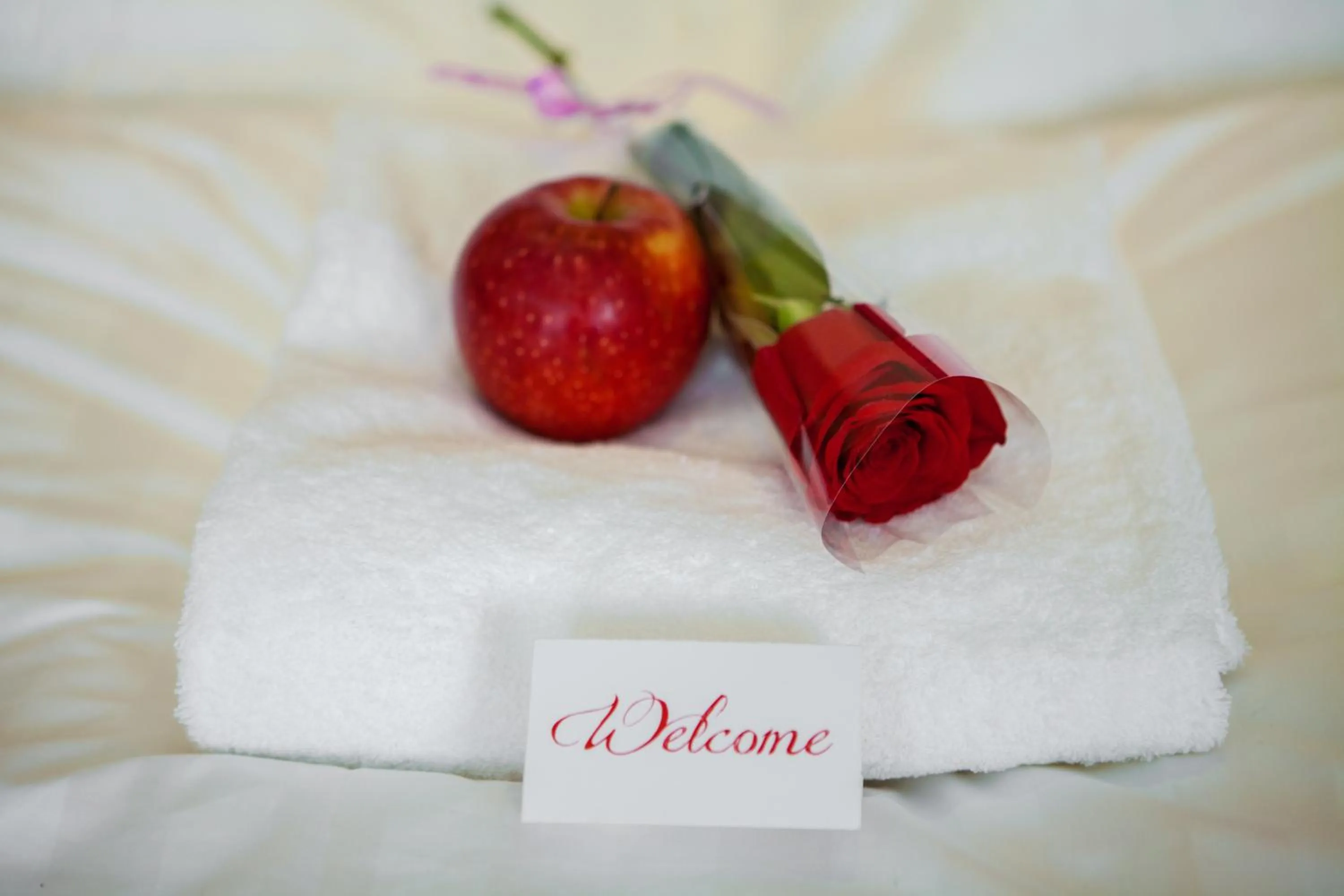 Bedroom in Soluxe Hotel Almaty